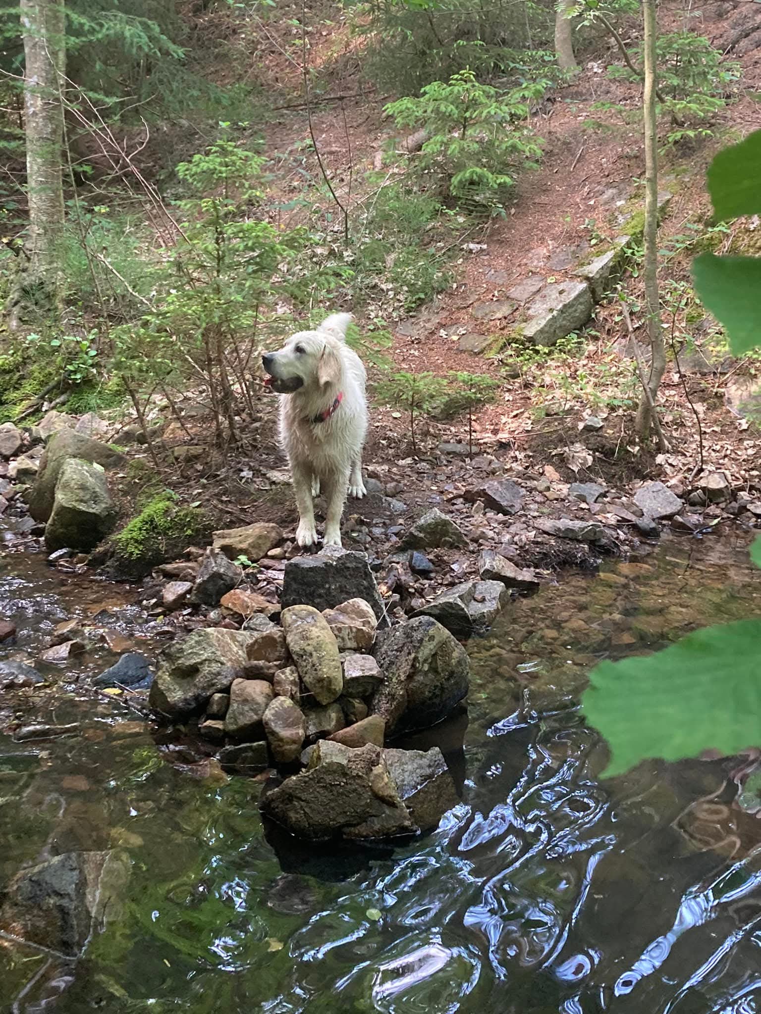 FB_IMG_1750056437120