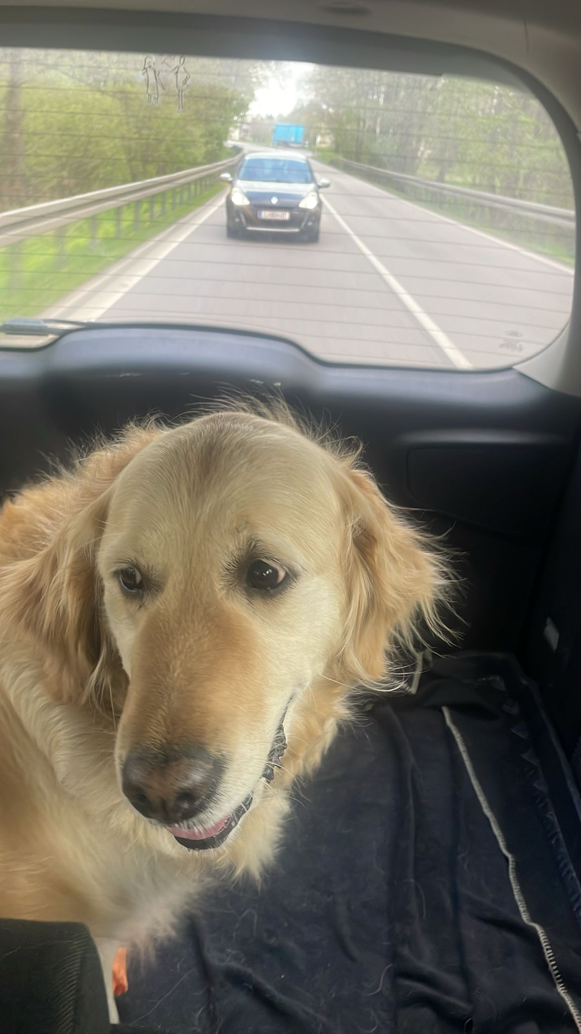 6dfc7807-f6f5-4e77-8435-13414e18e021