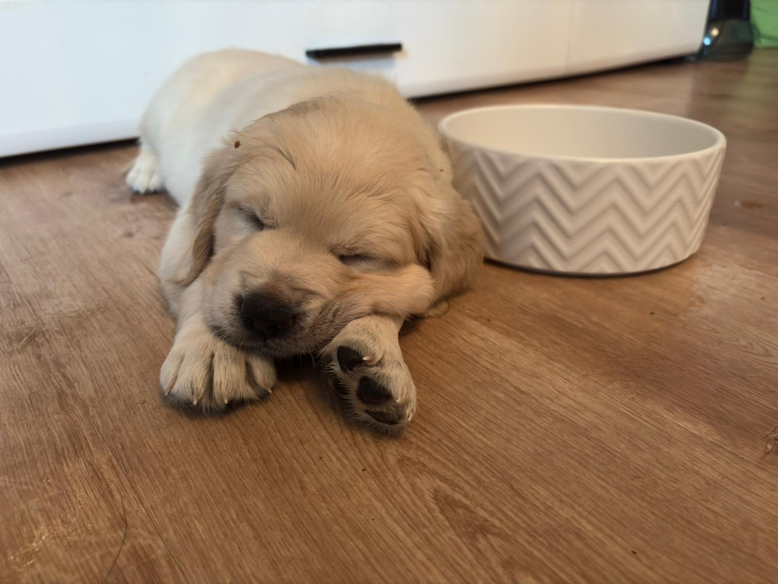 8c79db79-4dd7-4457-8f0d-1afc9e7bf1ae