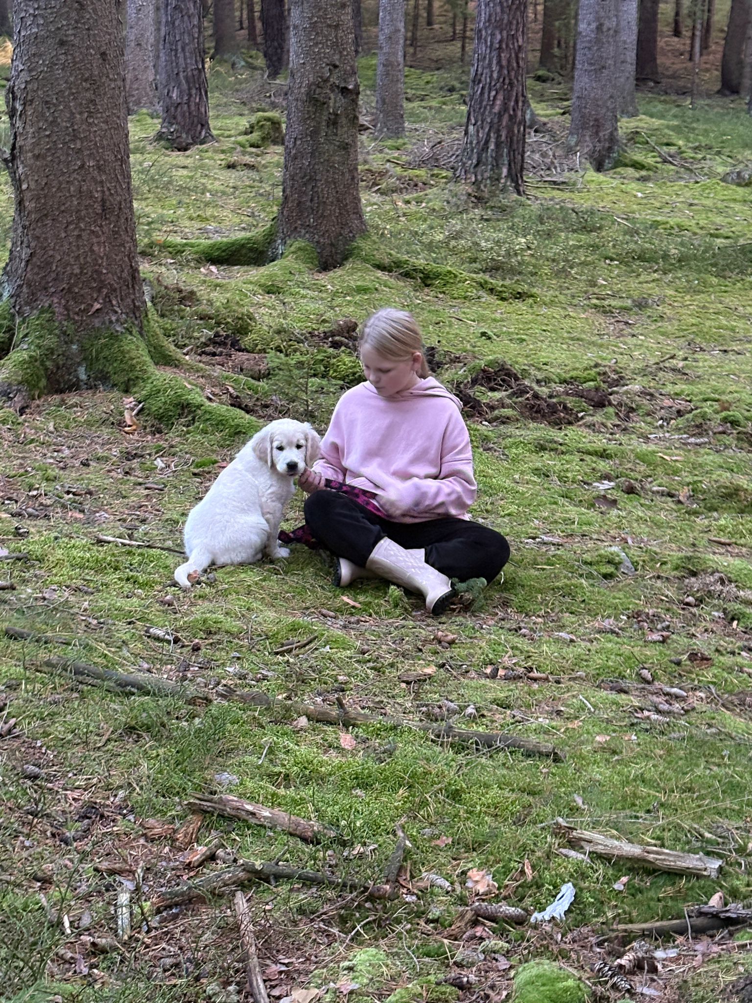 e7535519-37b0-4d4f-9704-3769a8c55842