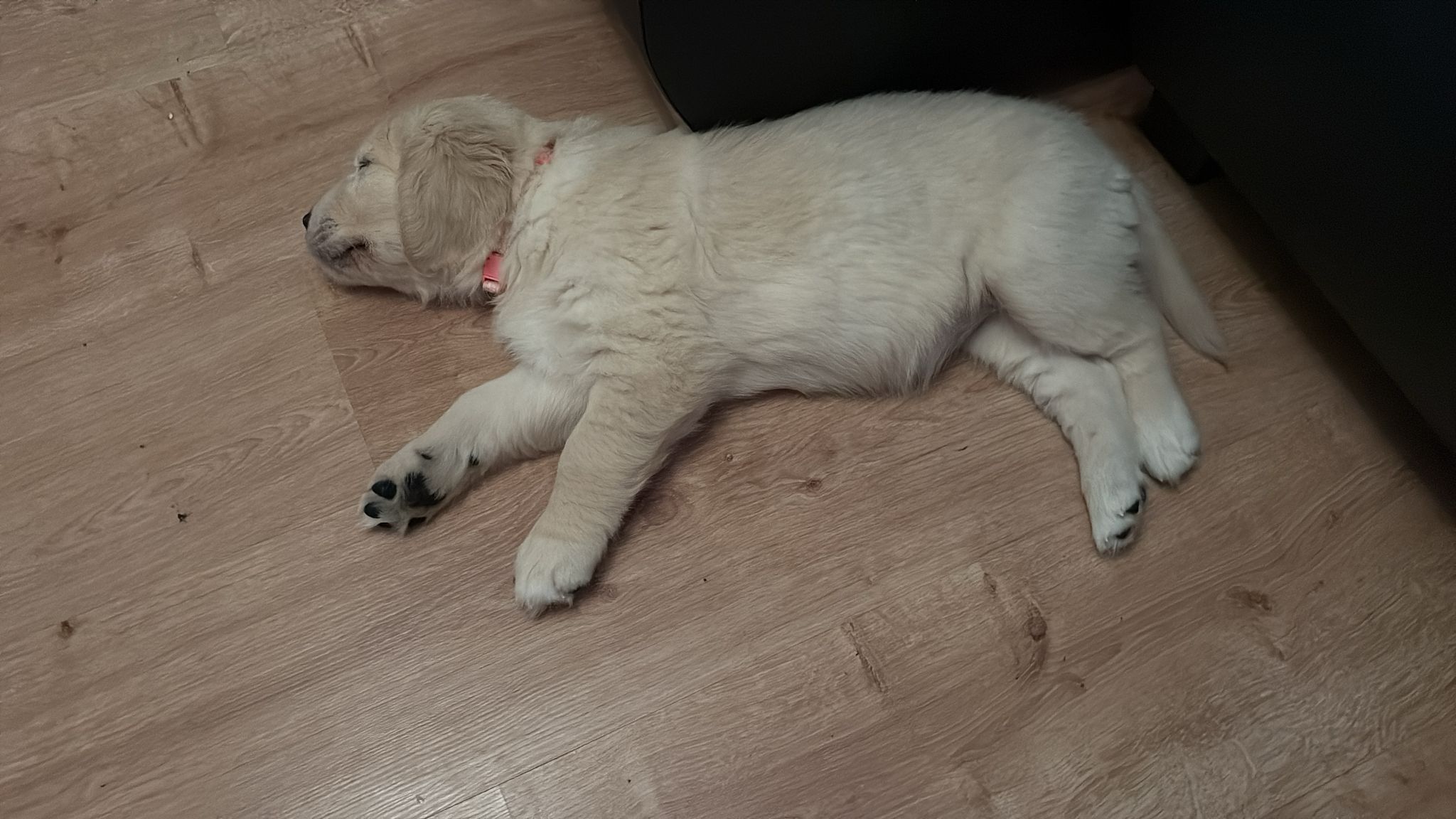 0200b9a9-9e35-44b0-baed-4e3cb79a1582