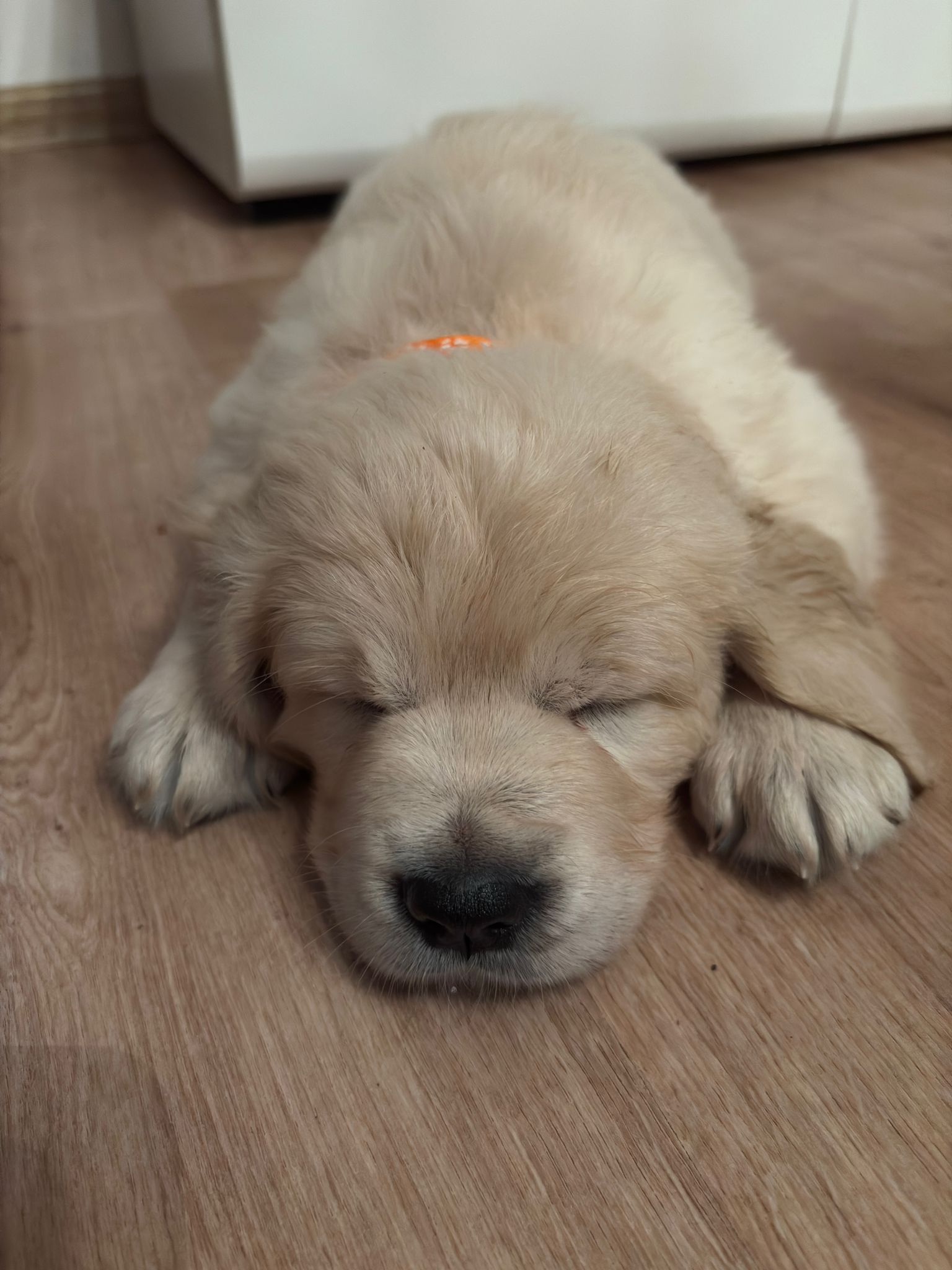 804fb05b-f611-4d39-82fd-692cf0d69ab9 (1)