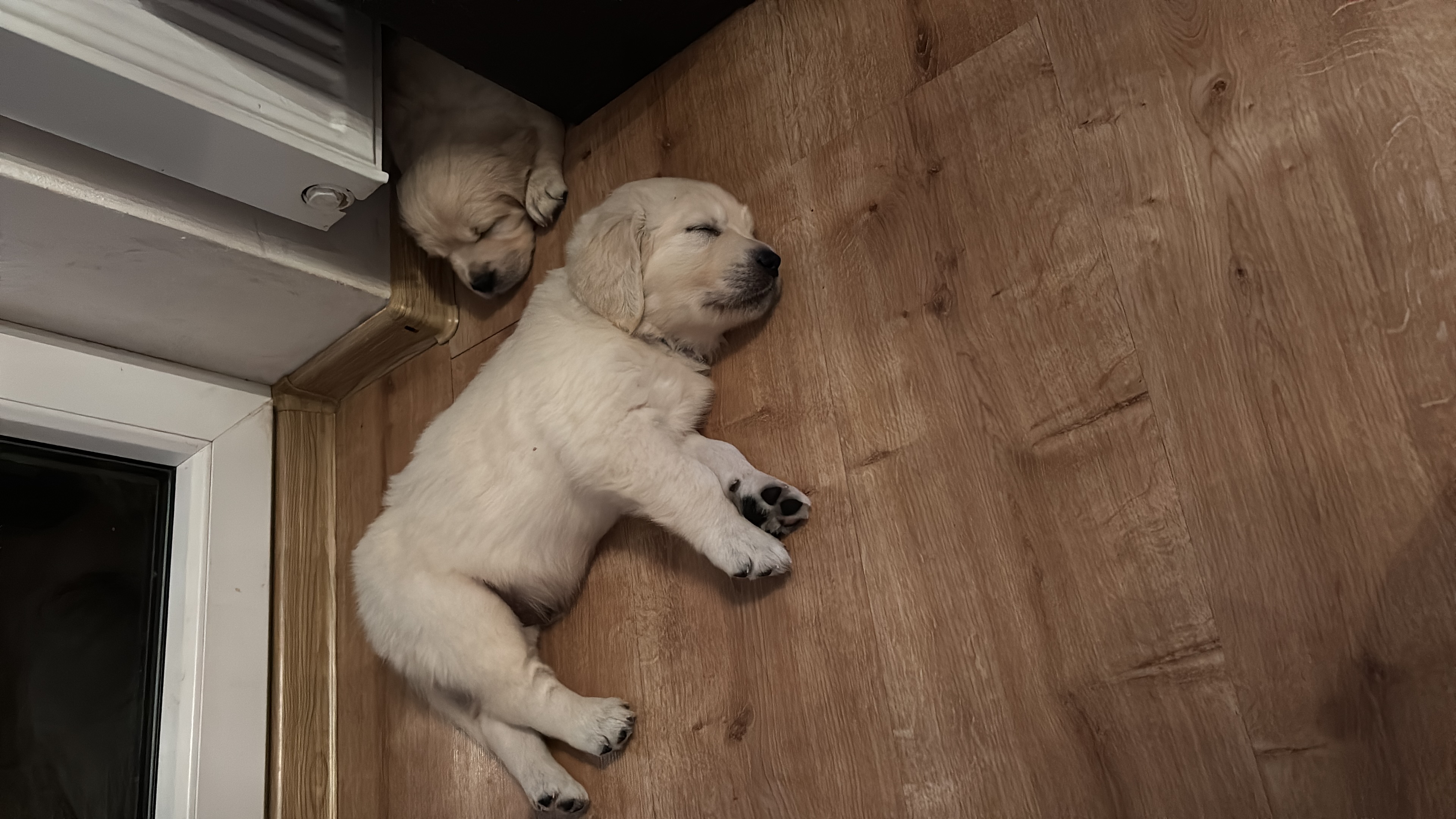 AF463732-830D-494C-A2DC-512B9FE022F0