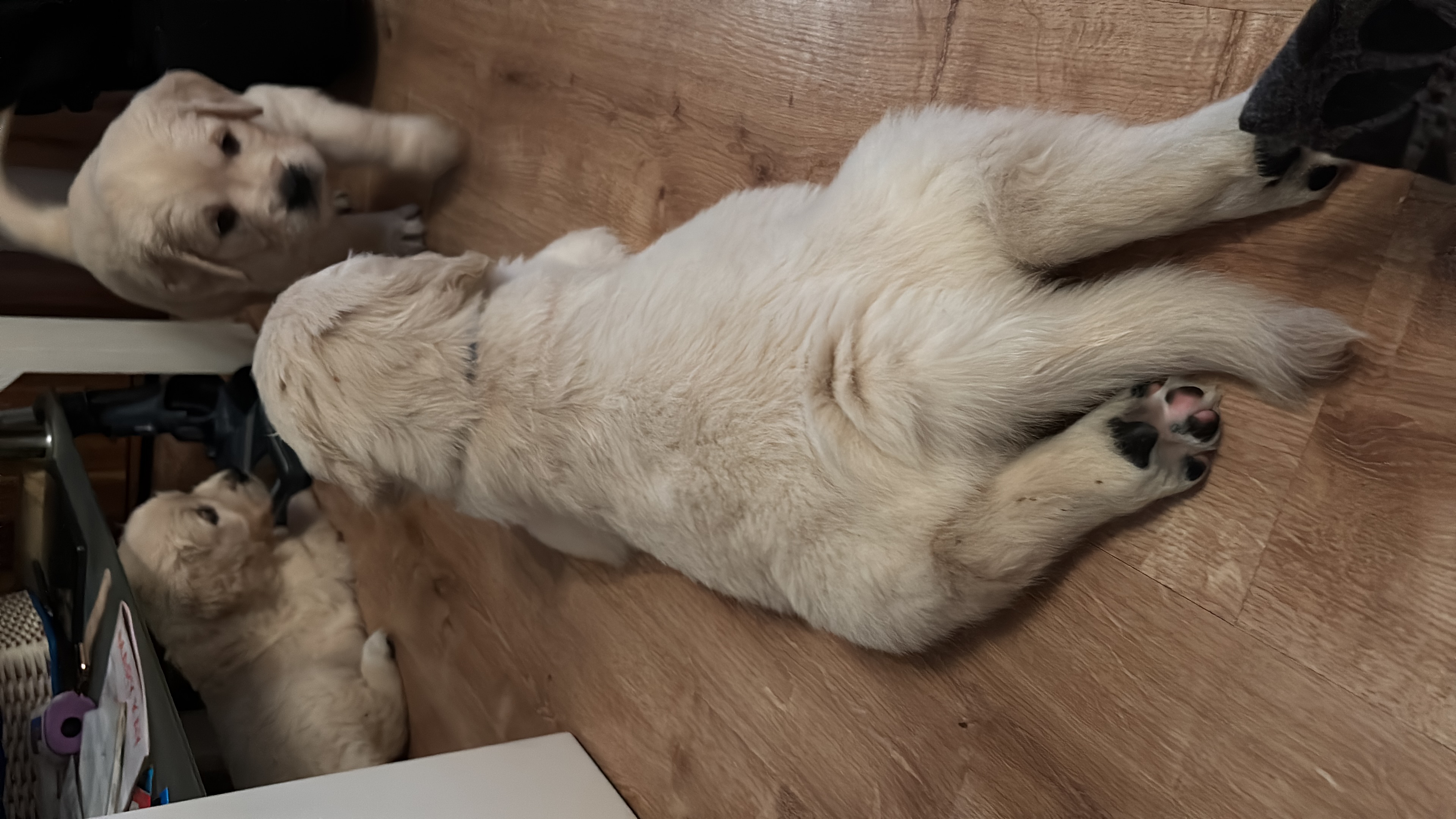 1B713E5E-D6B4-4872-A983-9D209E963A3E