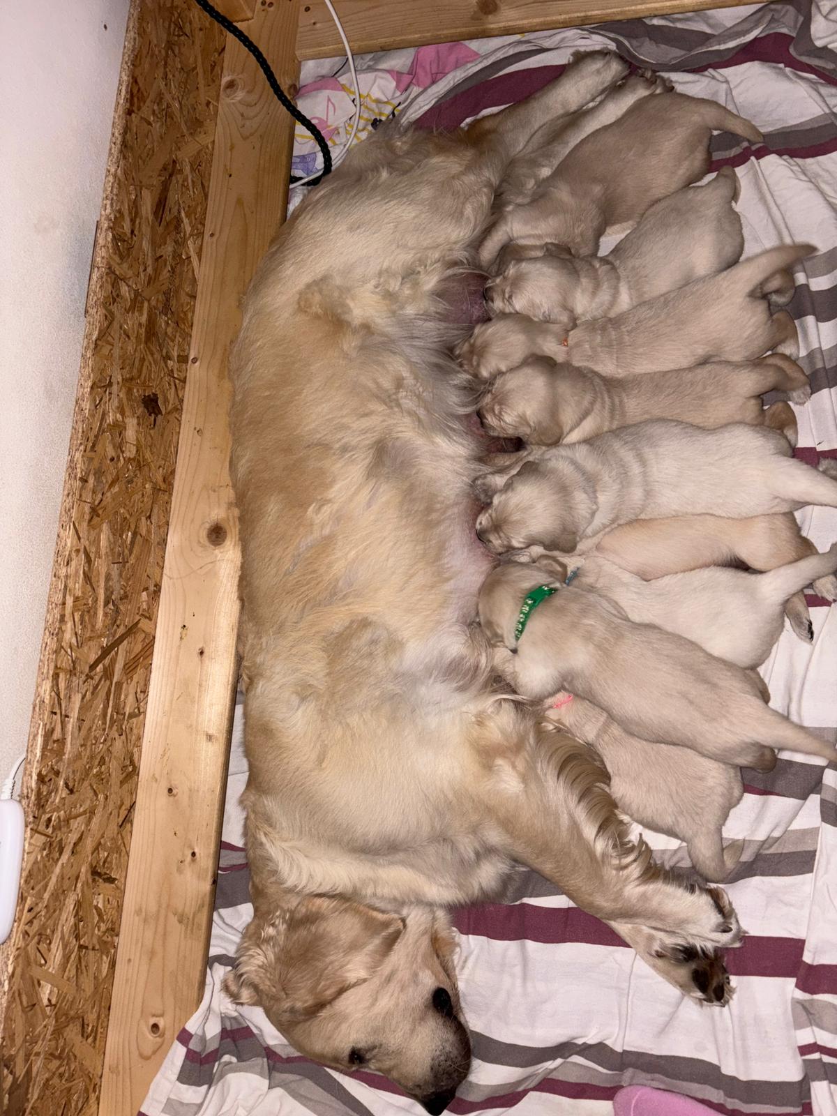 c87d28df-1d1b-427b-b426-af617e9e4f2e