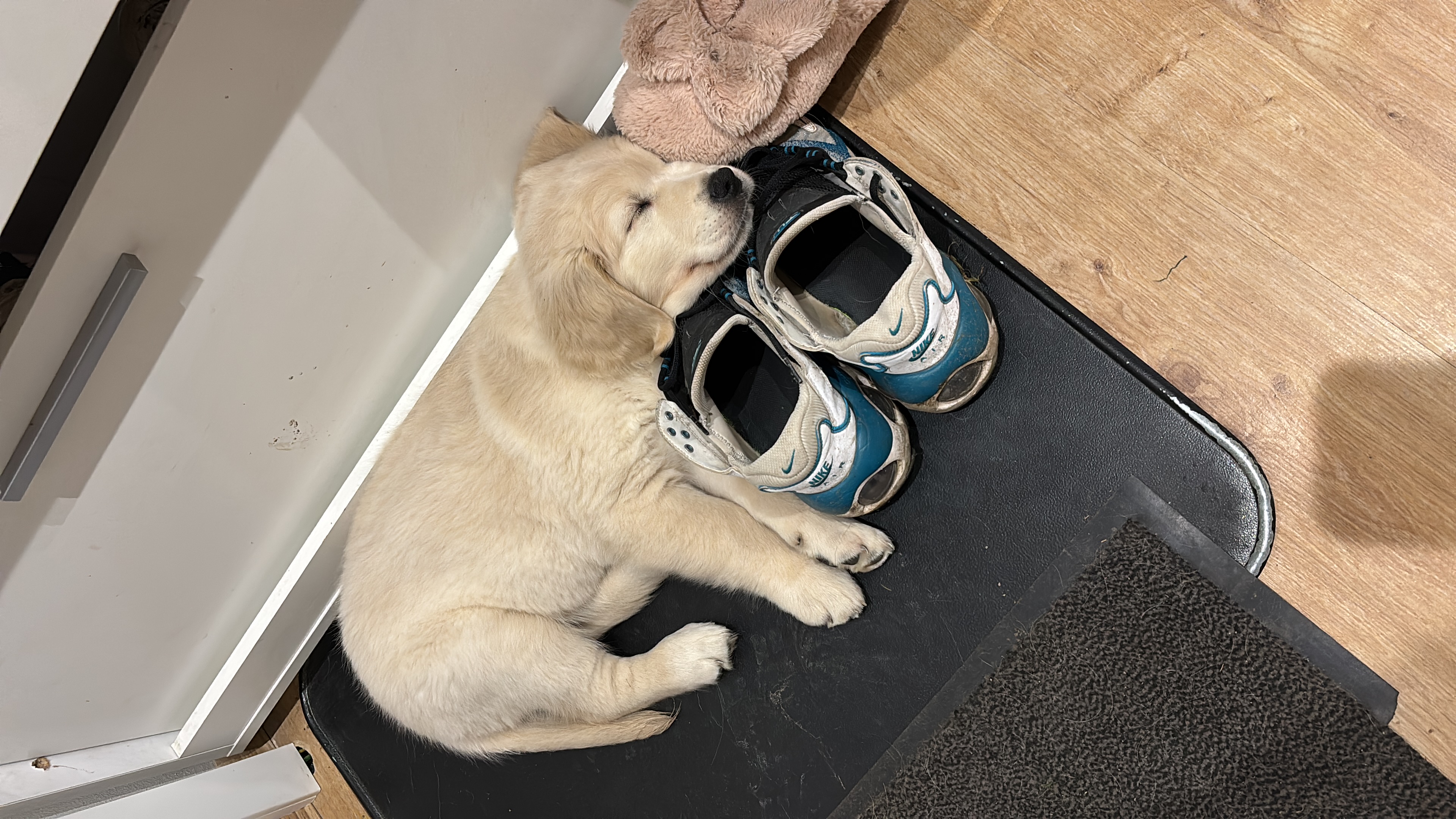 722C87E2-DFBD-4B14-A3E6-2071A55E2FE2