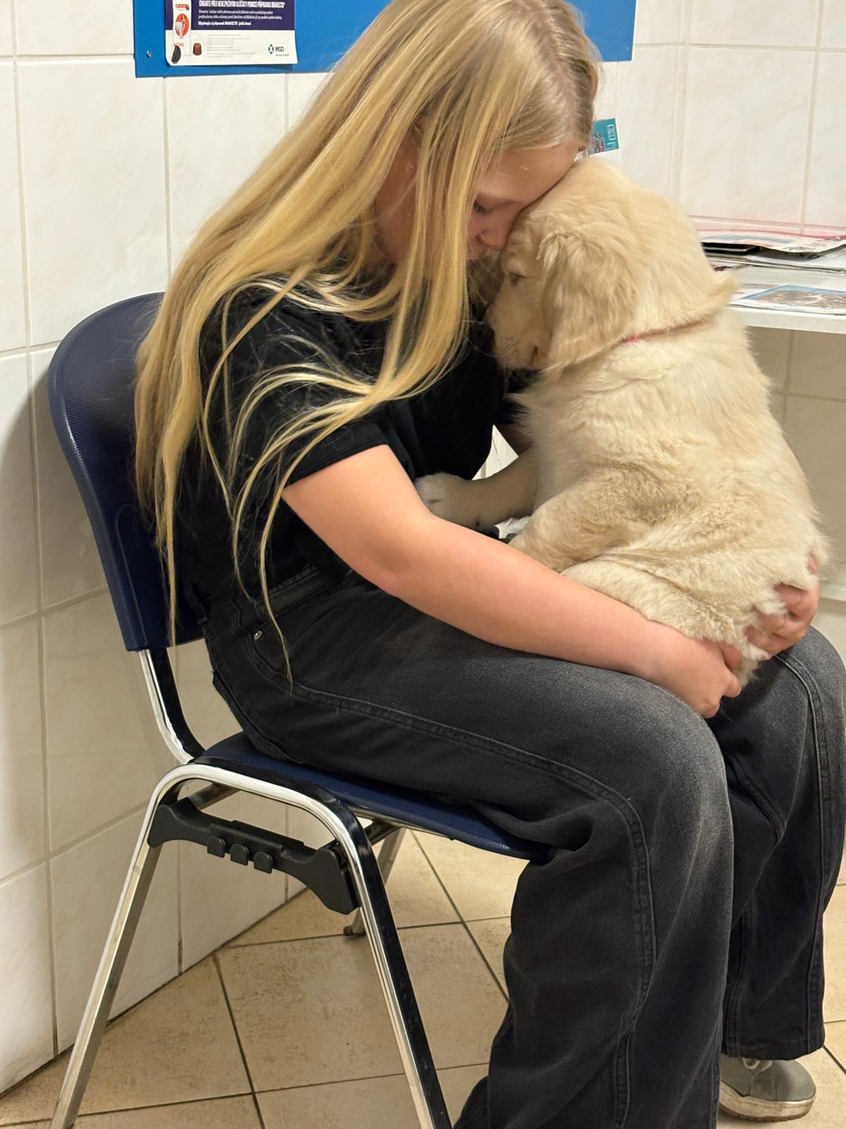 6fe0798b-d0bb-46aa-b949-ebac756b0b5d