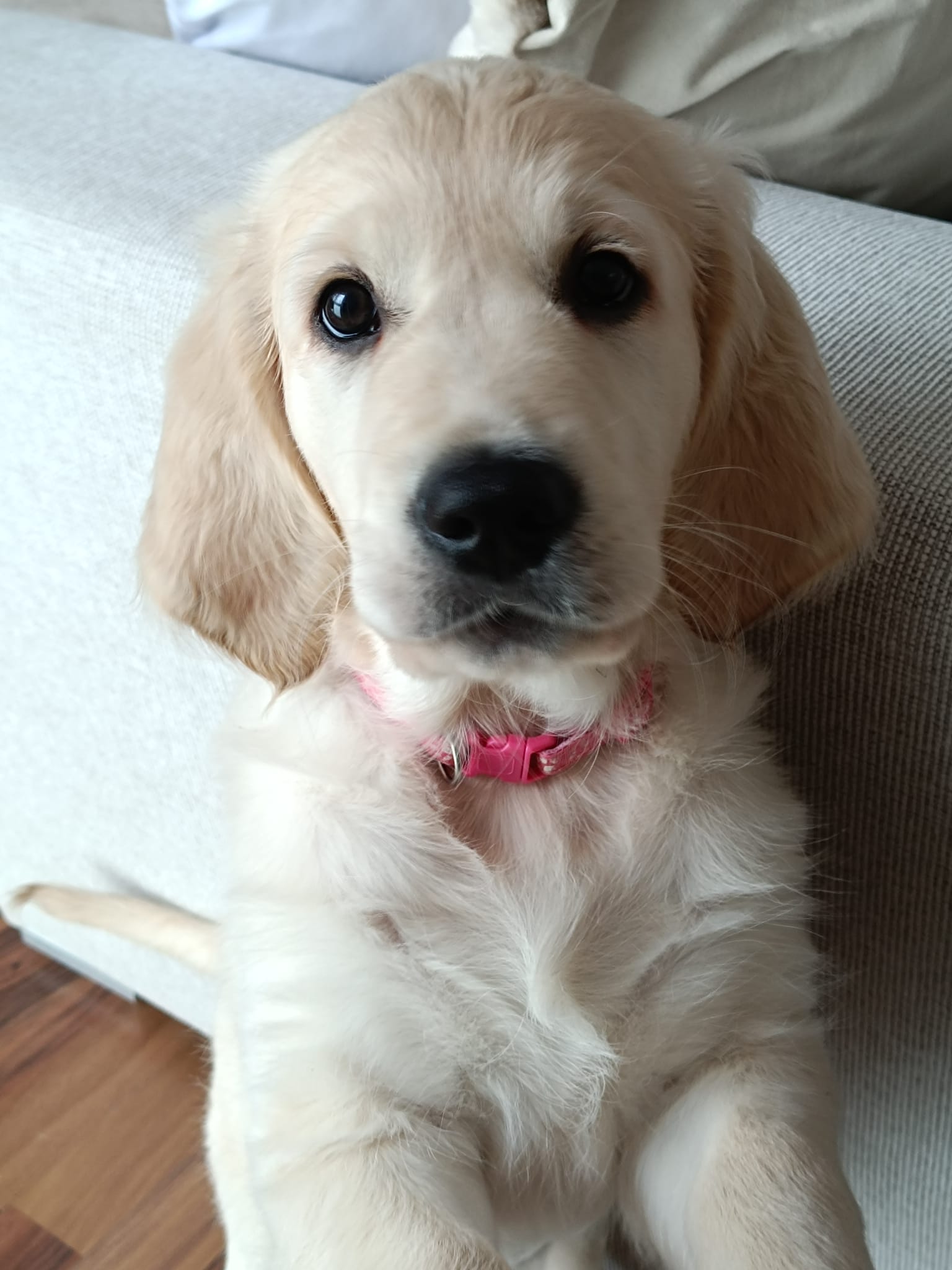 703feb25-2d1e-4c8f-90eb-5fe45c740667