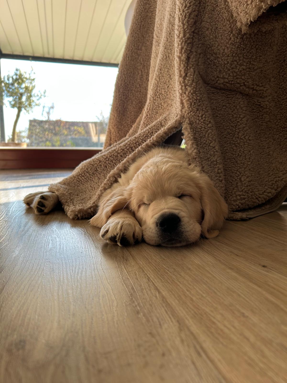 d3caa86f-8ee6-4d57-a69c-1979d34d8598