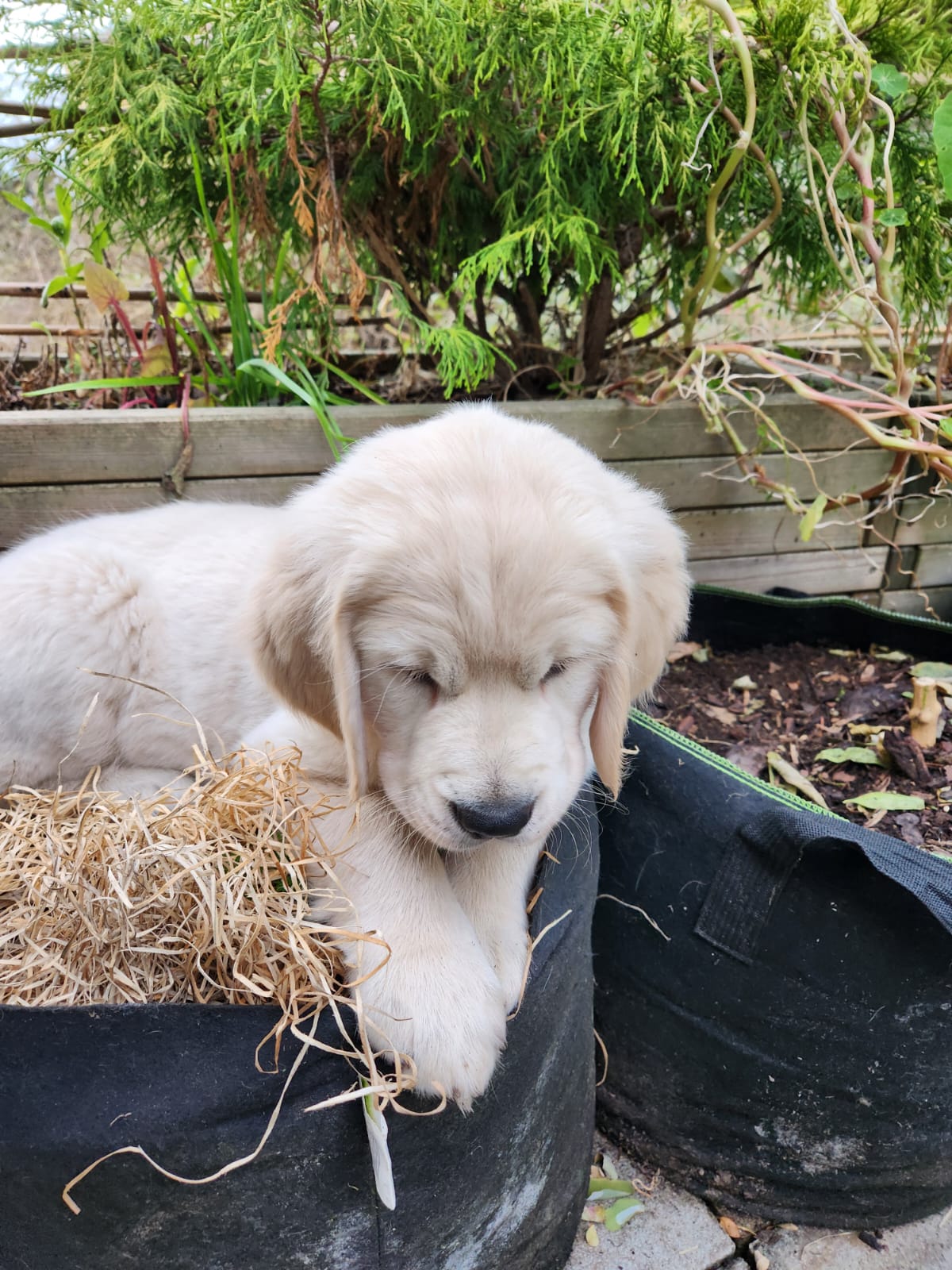 09055efc-1da6-4d2e-965a-6b47d3804379