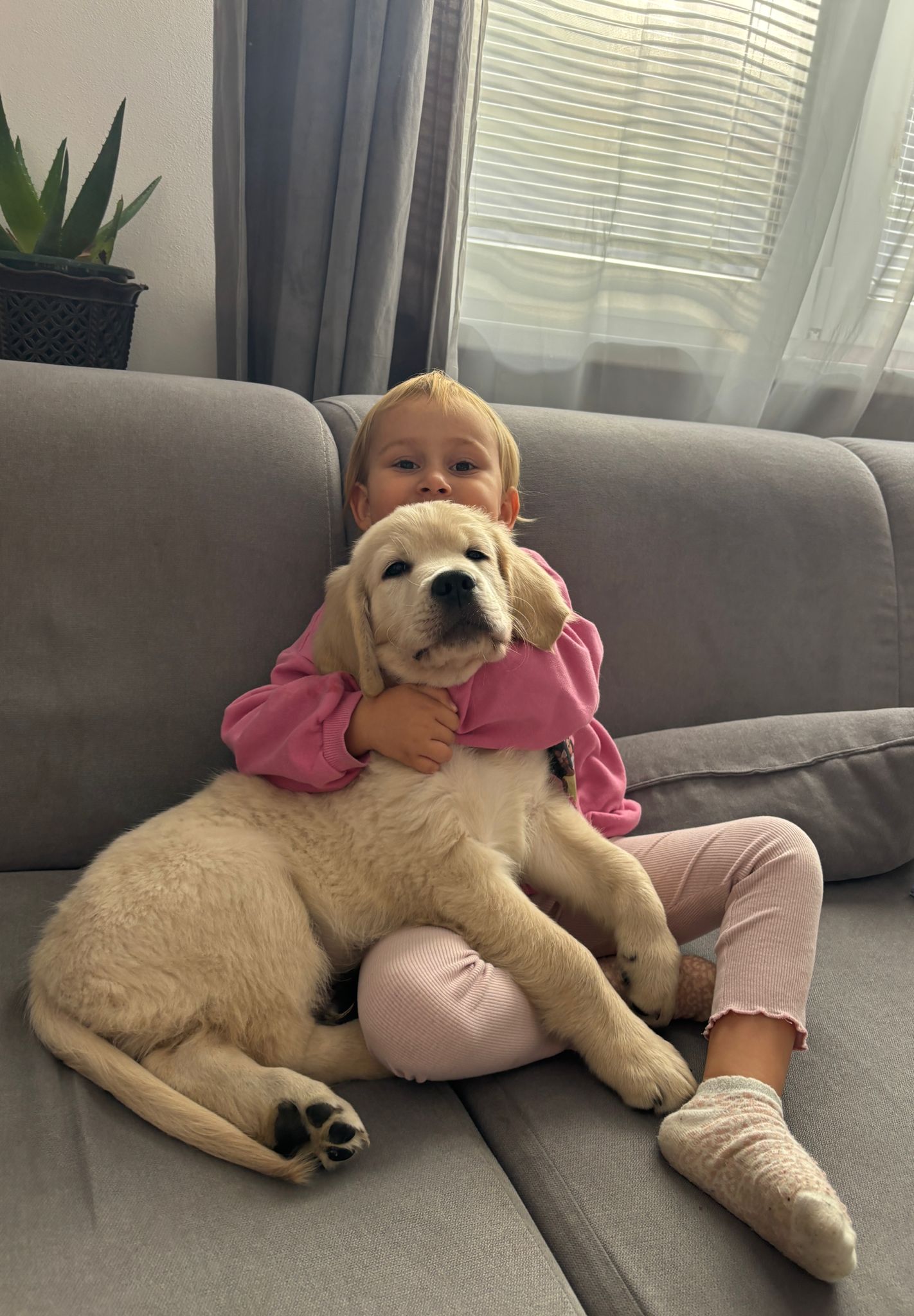 604b7b1d-2e0f-422c-84af-f9eed75049f1