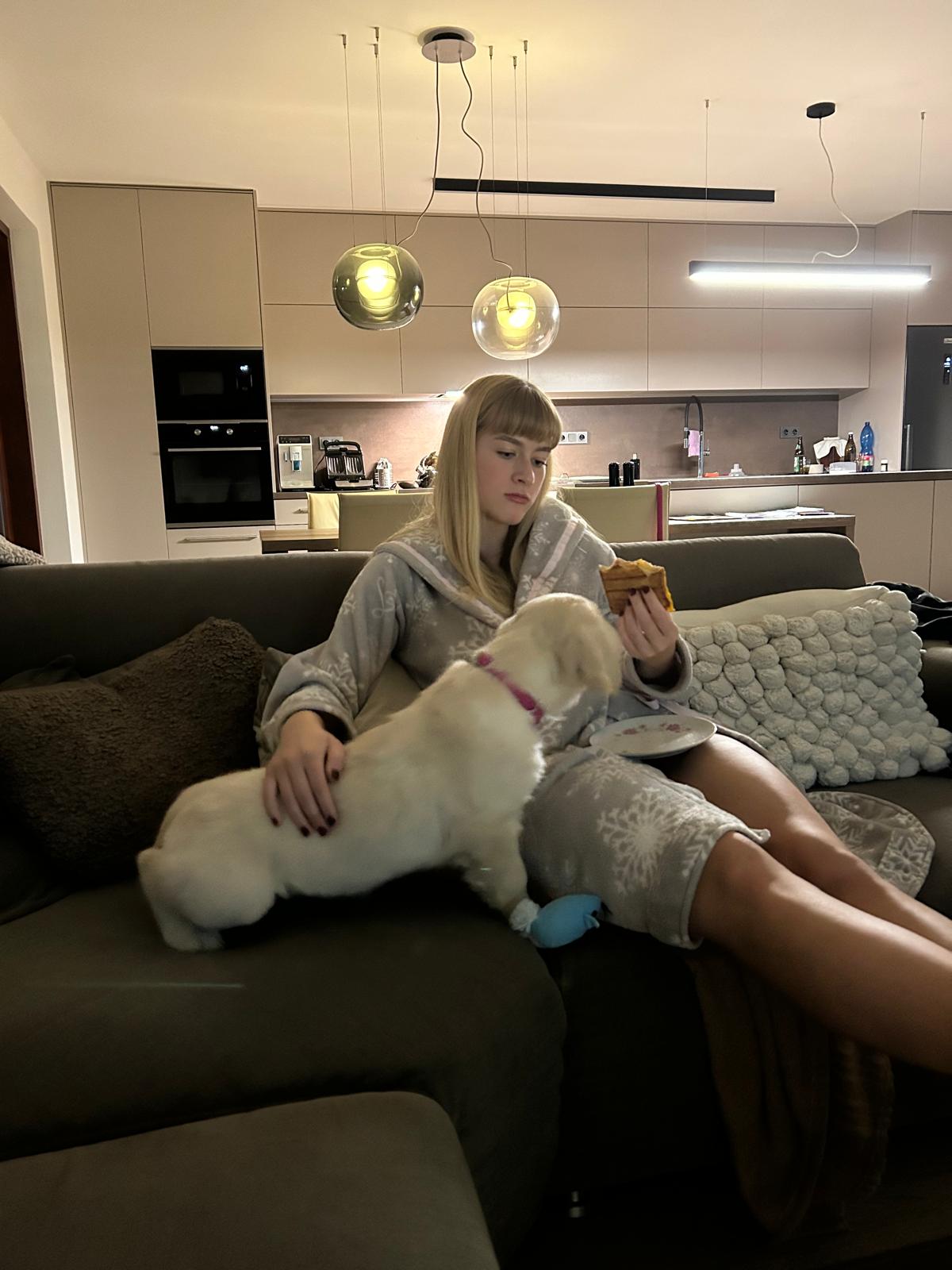 fee850b8-dd77-4f66-81cc-c7991edeaf0f