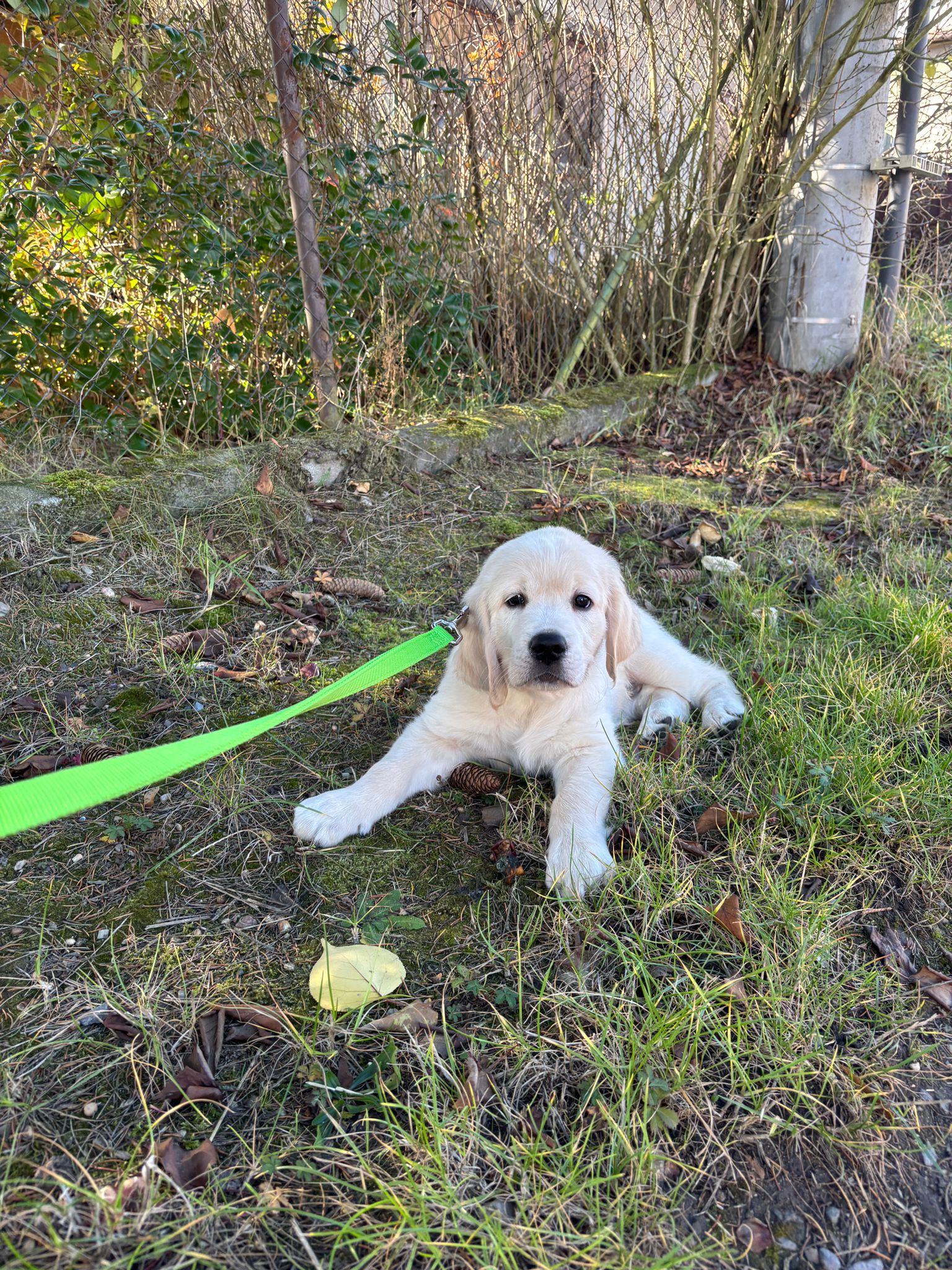 6281b223-7c1f-420e-add2-a27aeded10d9