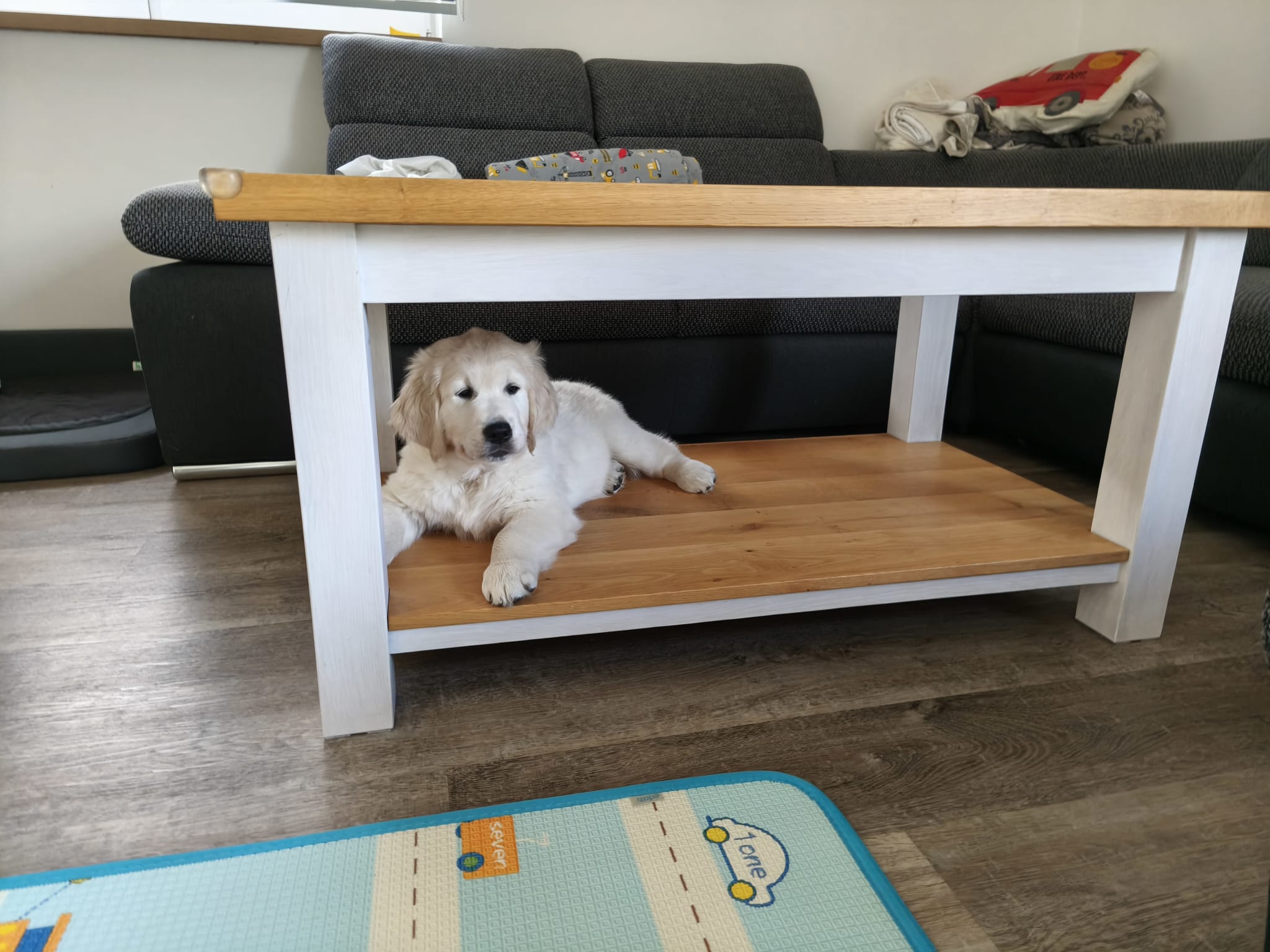 bcfe65a7-3c94-4bea-a4d3-9905d5d60d31