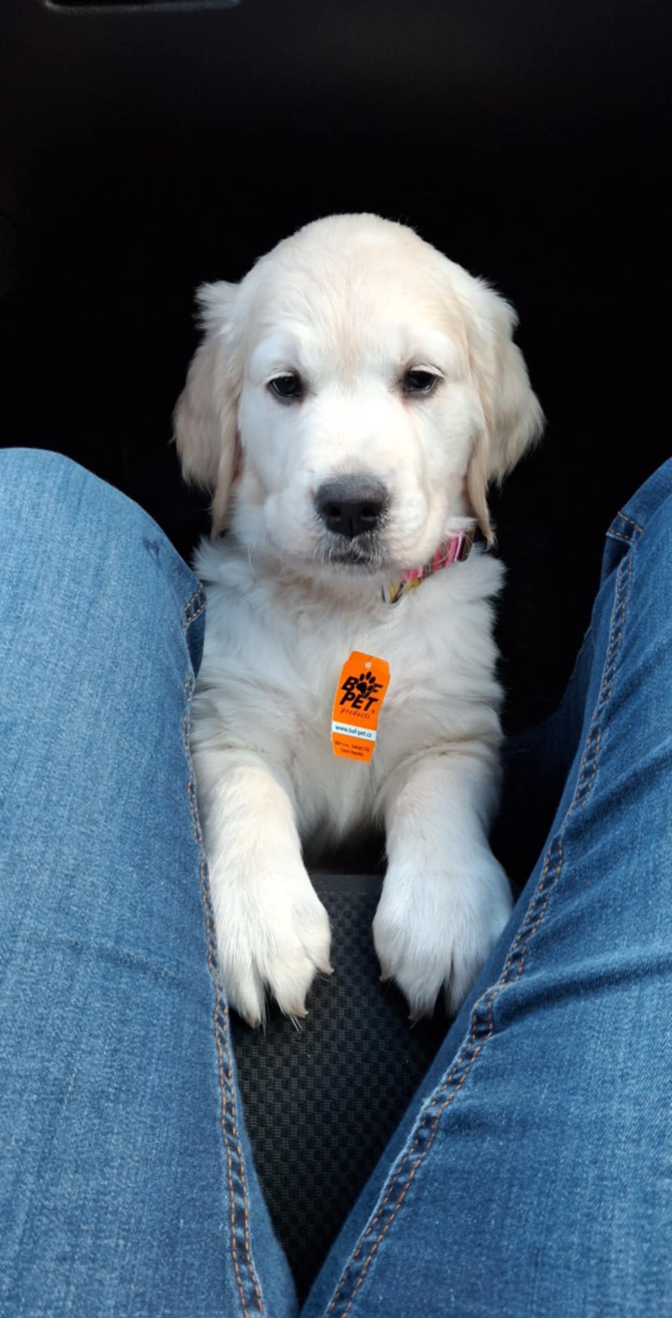 190fa711-6f02-47f4-9d84-f5f53bbfe519