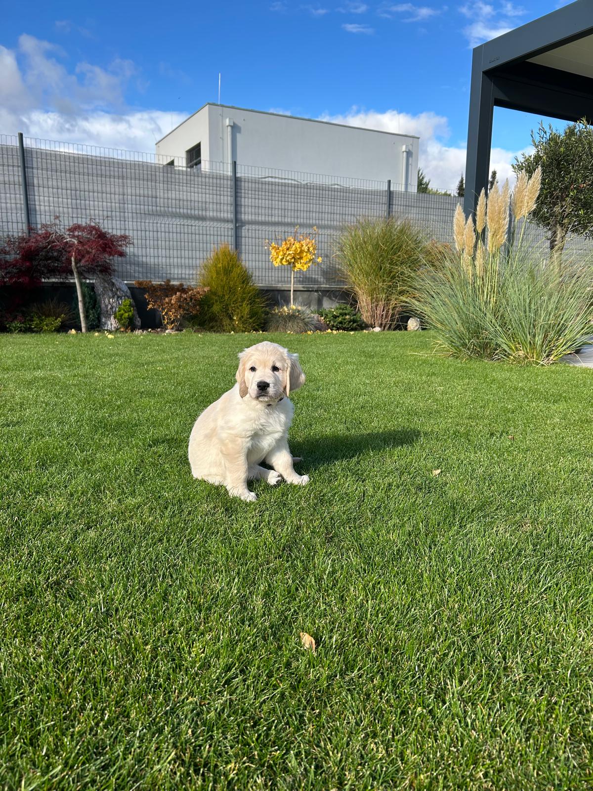 9b5a025d-dc9f-458e-a1ac-0e76206a31a3