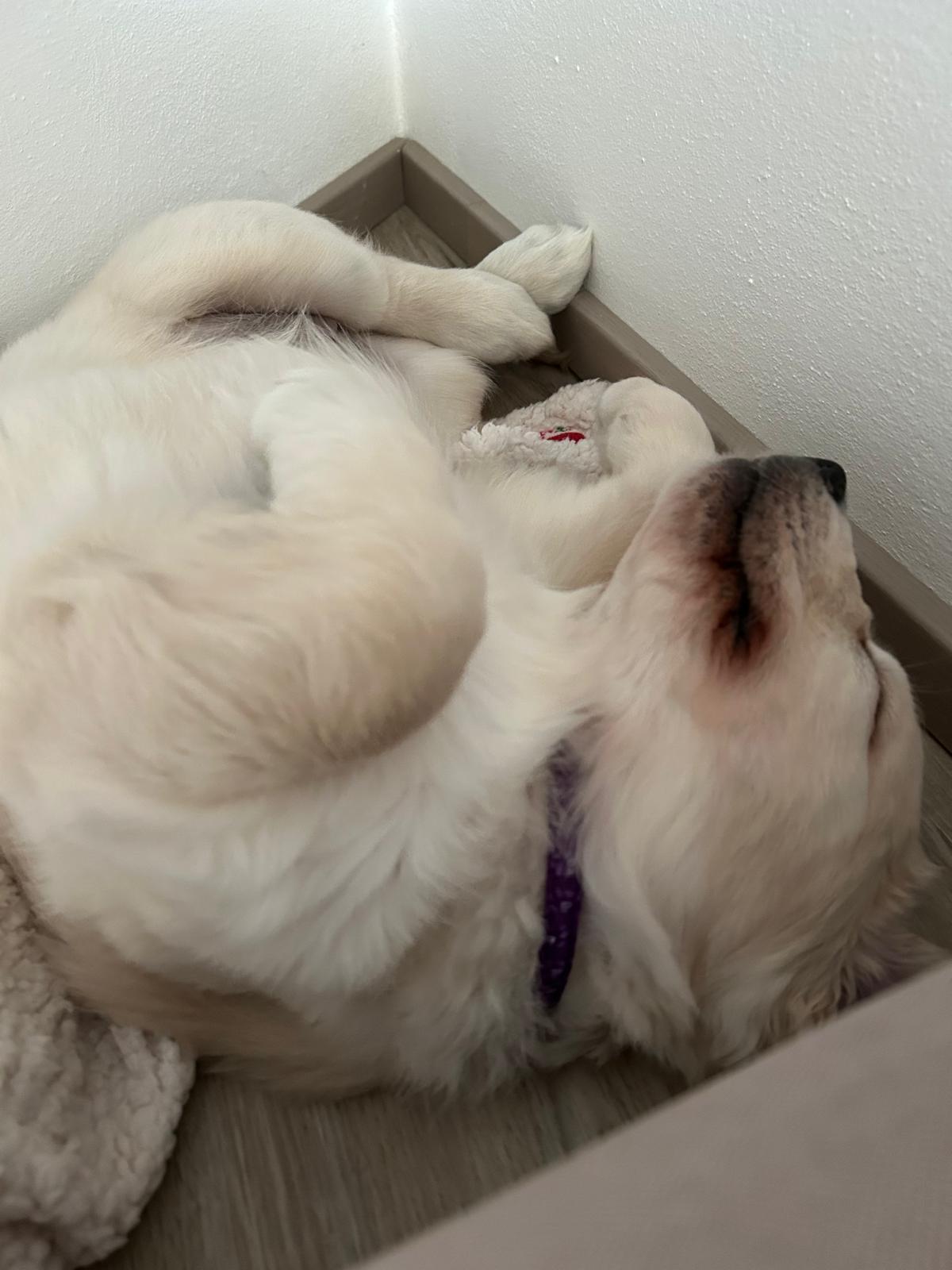 b1e25429-9a54-4ca8-ac96-1e06707c8639