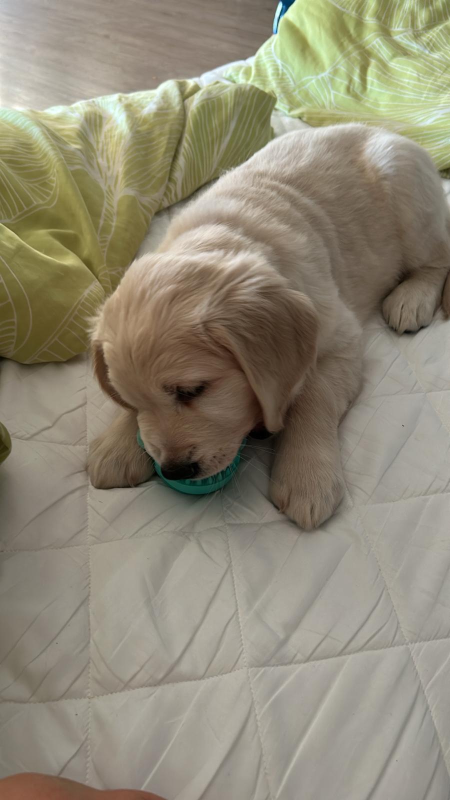 b7c519a4-39ef-4e04-a118-50b44a6e3cba