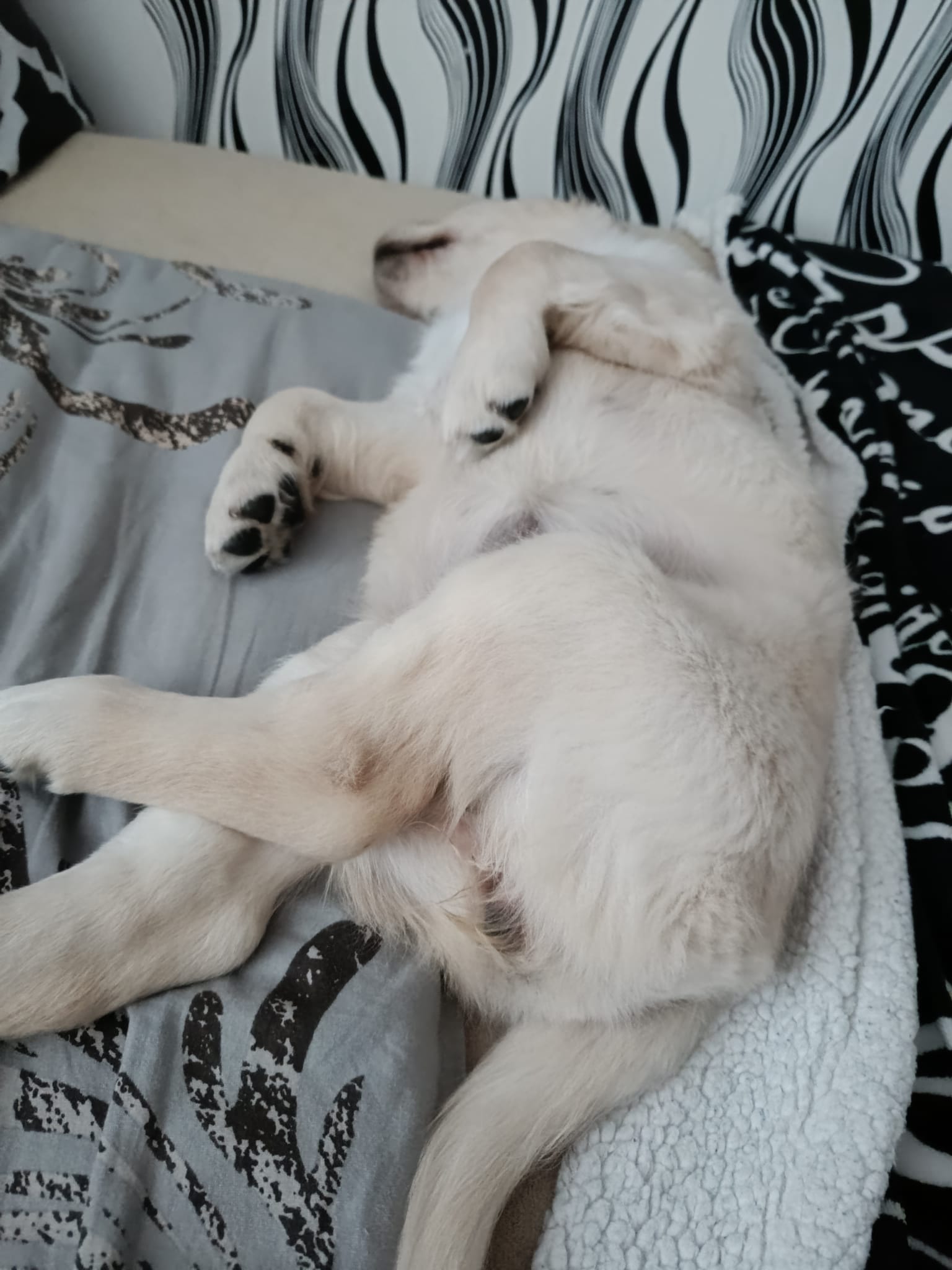 519fb182-096c-4663-9695-3a21be566db9