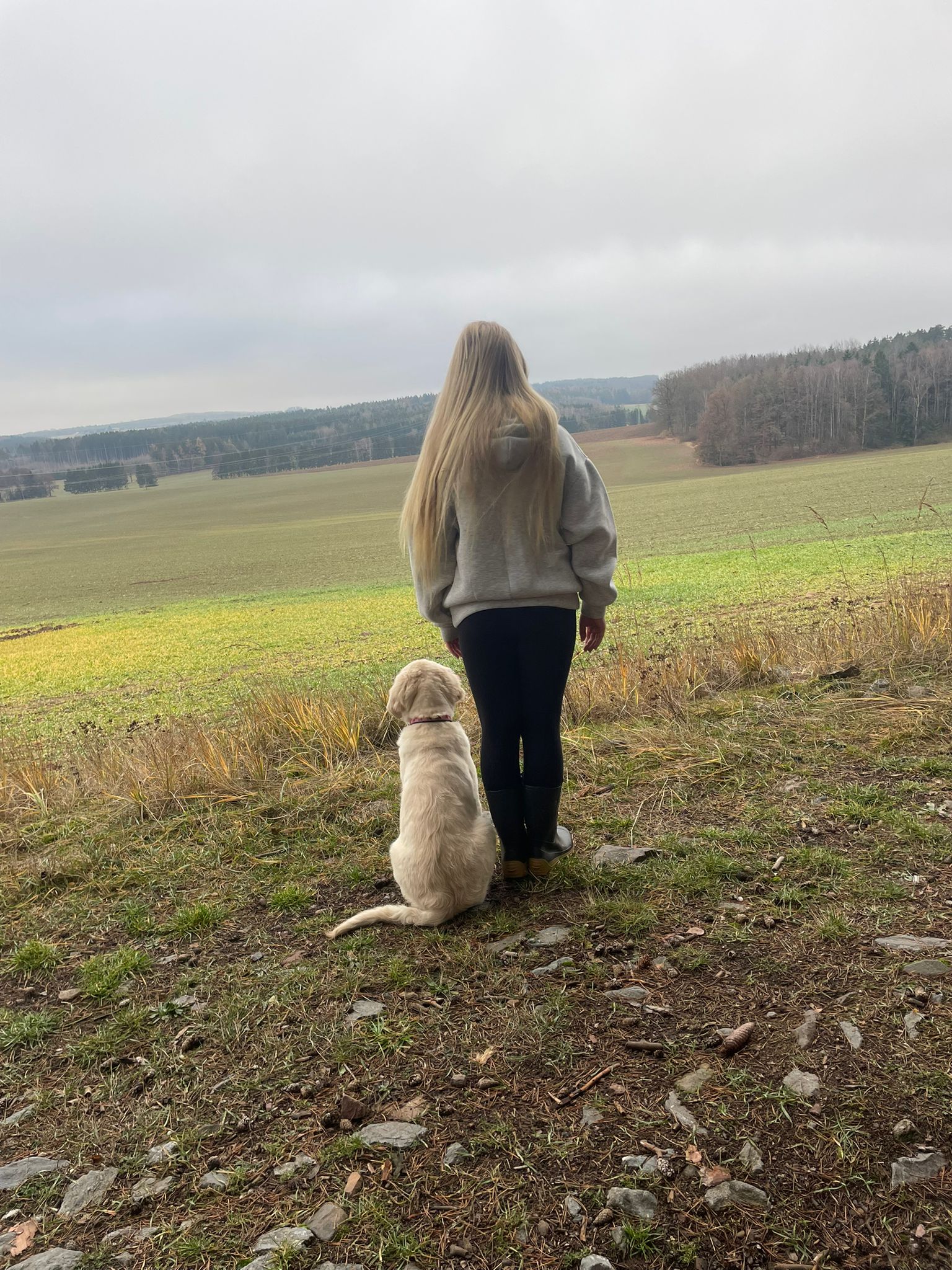 0541d7d0-c4e4-4be0-a437-817db2af3265