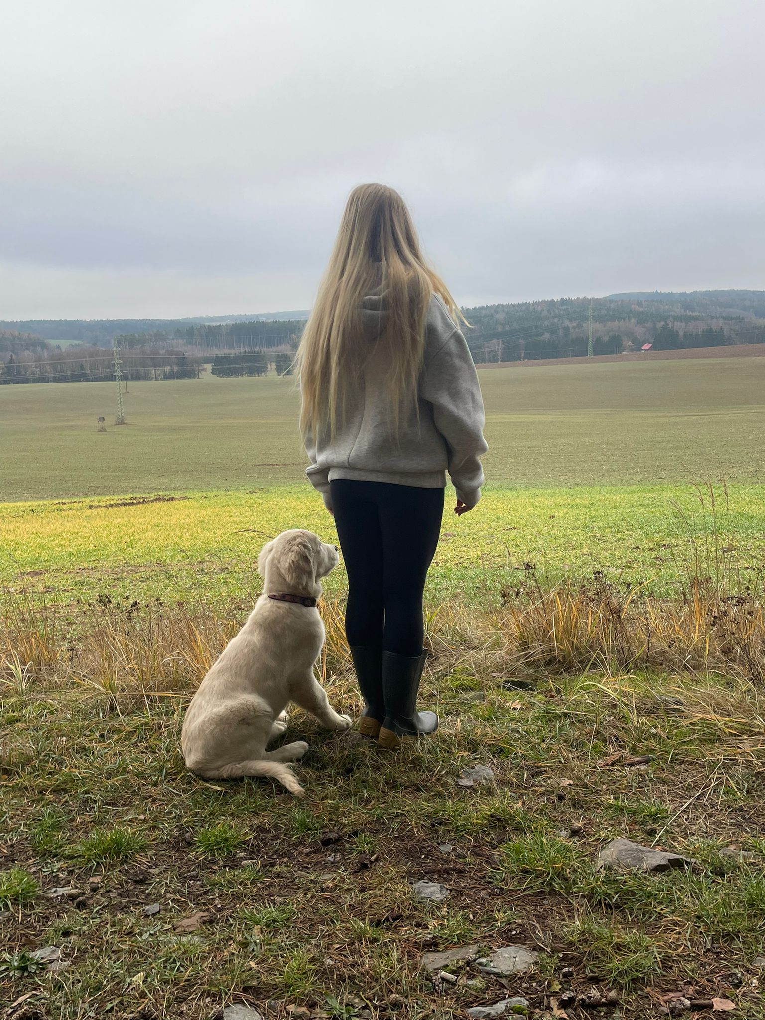 57343d87-67a5-449c-bbd7-044fc6ab9b4e