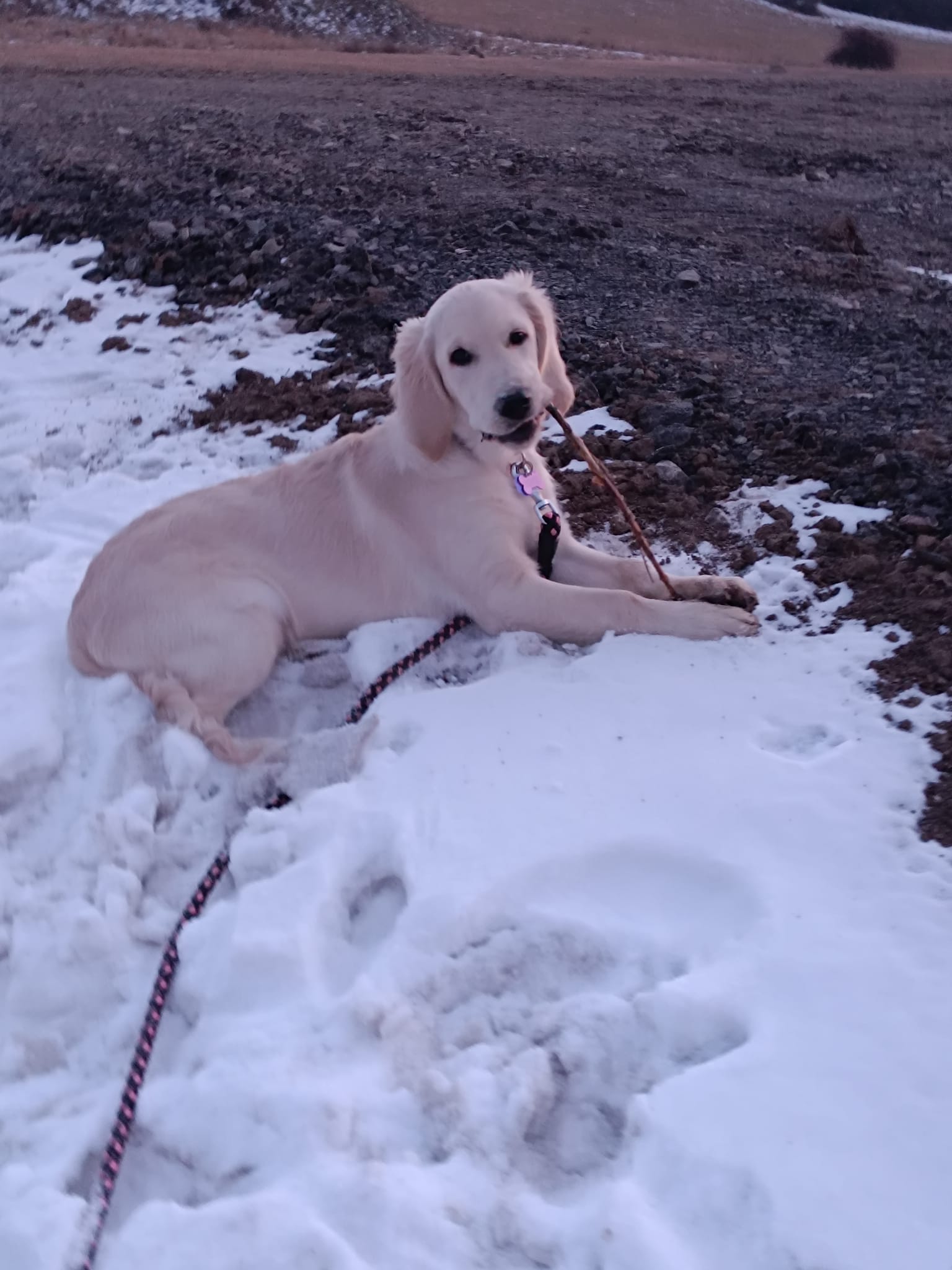 77c10b08-8b82-4ad4-9c89-b450dba94e2c