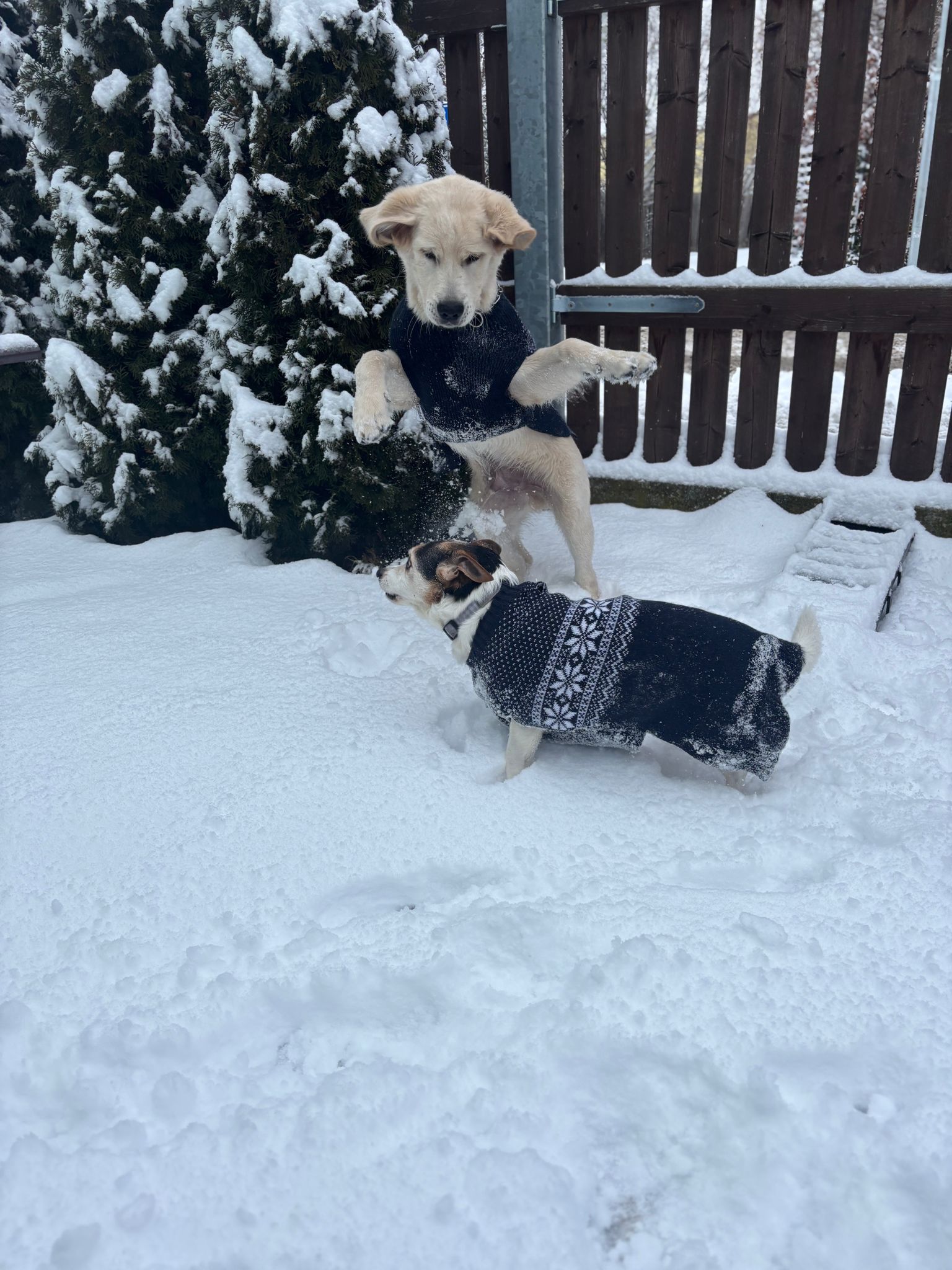 c07fc933-d31b-4bbe-92b1-a048f63500dd