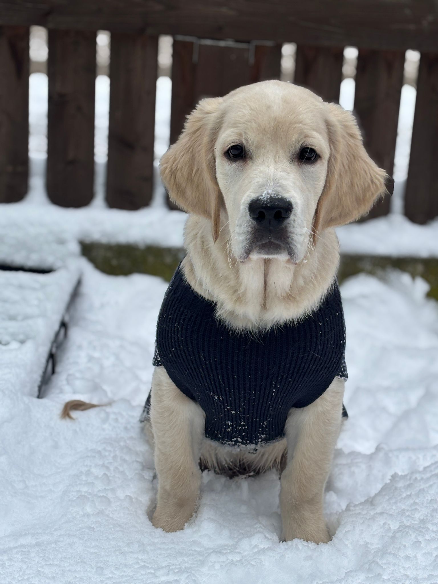 e4ccfba7-0463-451f-ab23-6273e69426f4