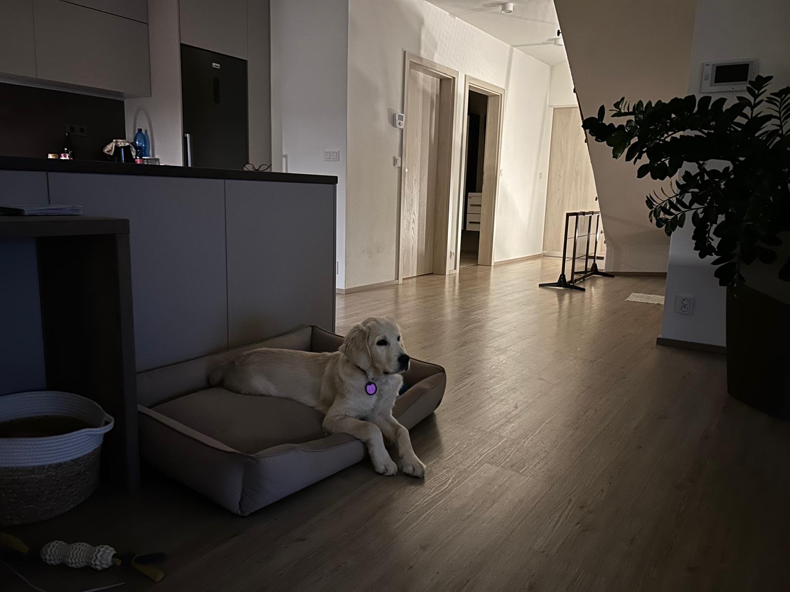 4fc58861-22de-4b9b-8f4c-05360a955ae9