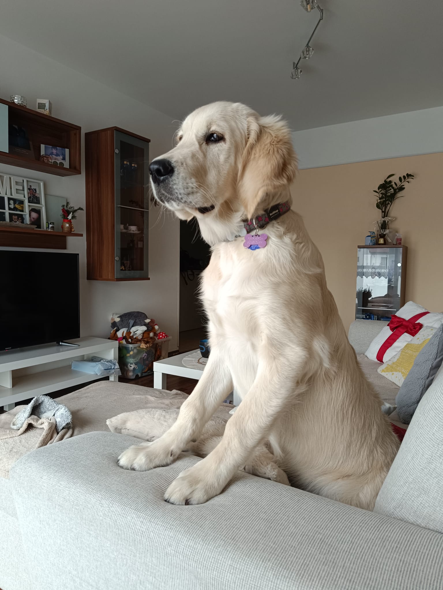 c9e2e9aa-e6a0-4215-b5eb-4cbf7638d858