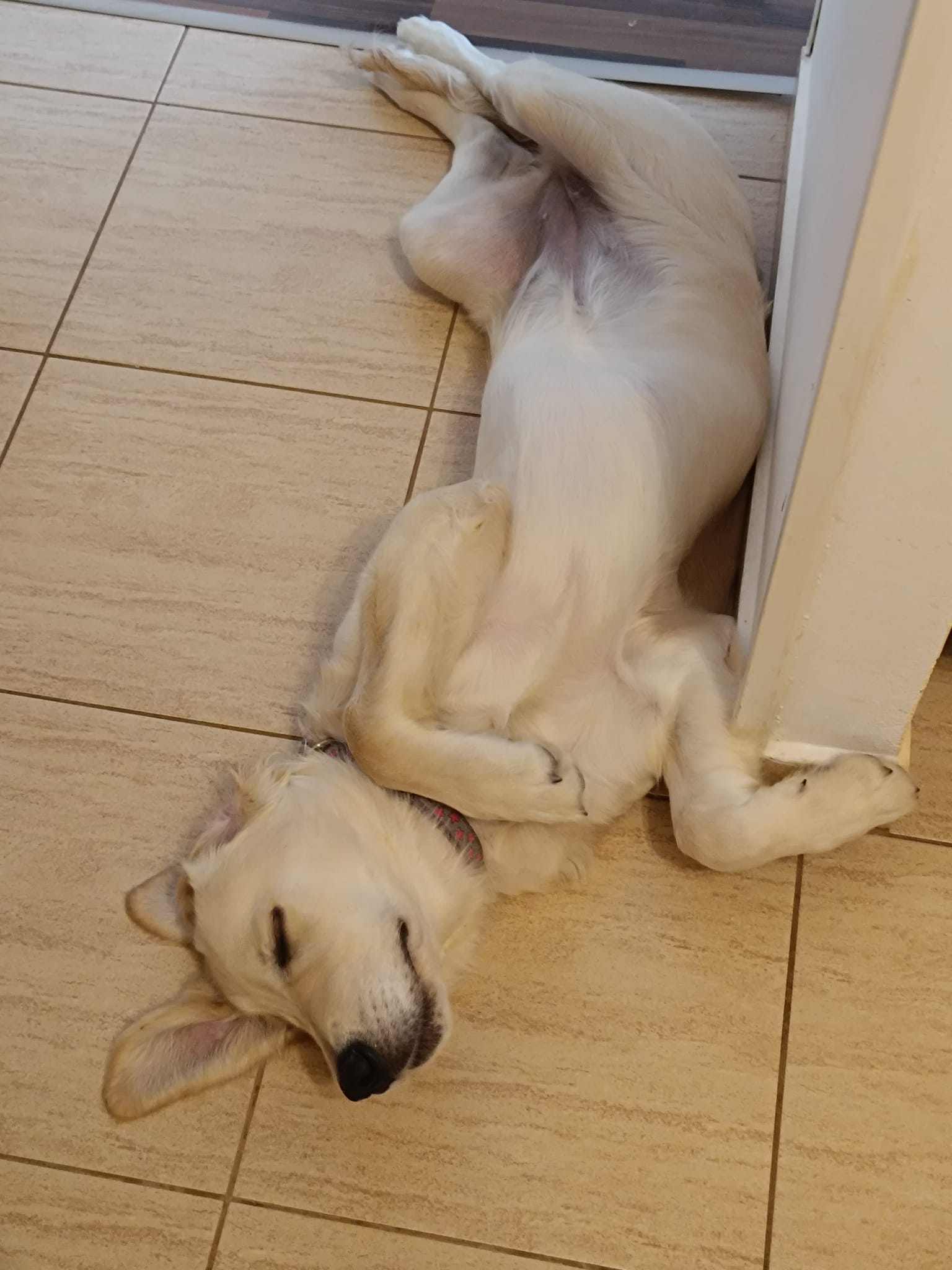 2d9bb583-7080-42a0-b087-fff831127a20