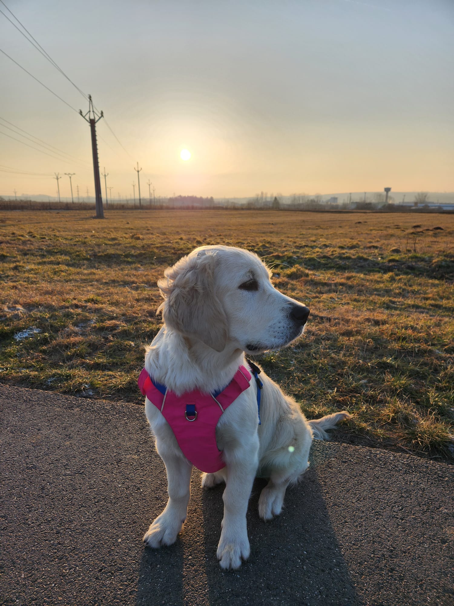 2692b45f-8099-45dc-ac98-1294b602c91d