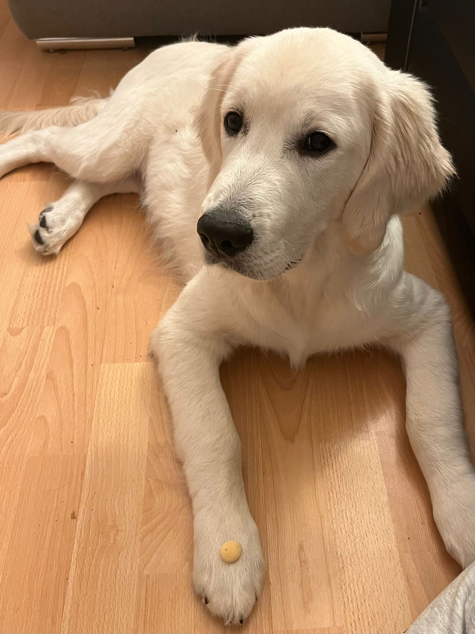 773ed525-e142-428a-bba5-97c29ba2e8a5