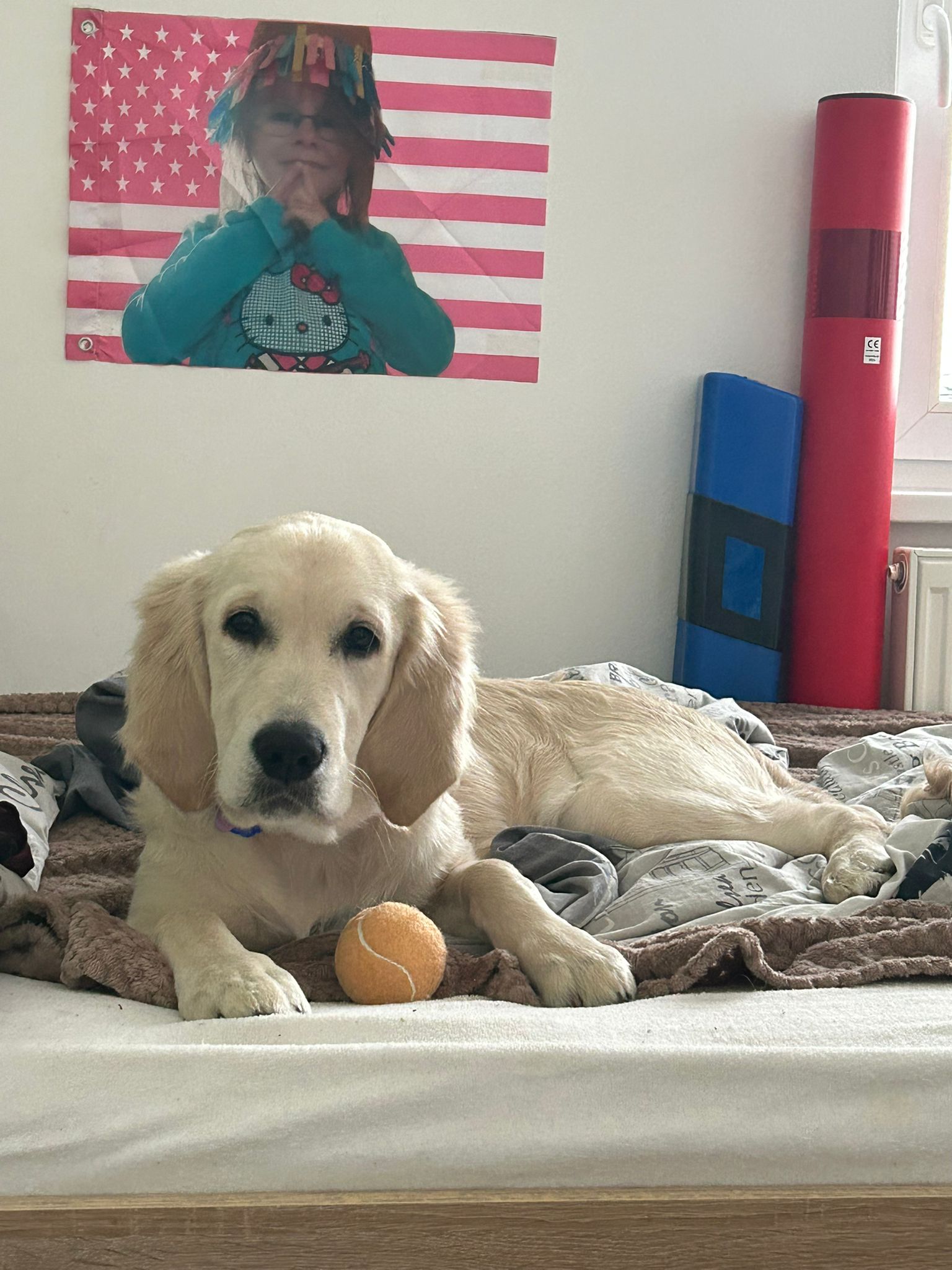 b8cc1c1e-b2c5-4740-9727-17cb73e16c06