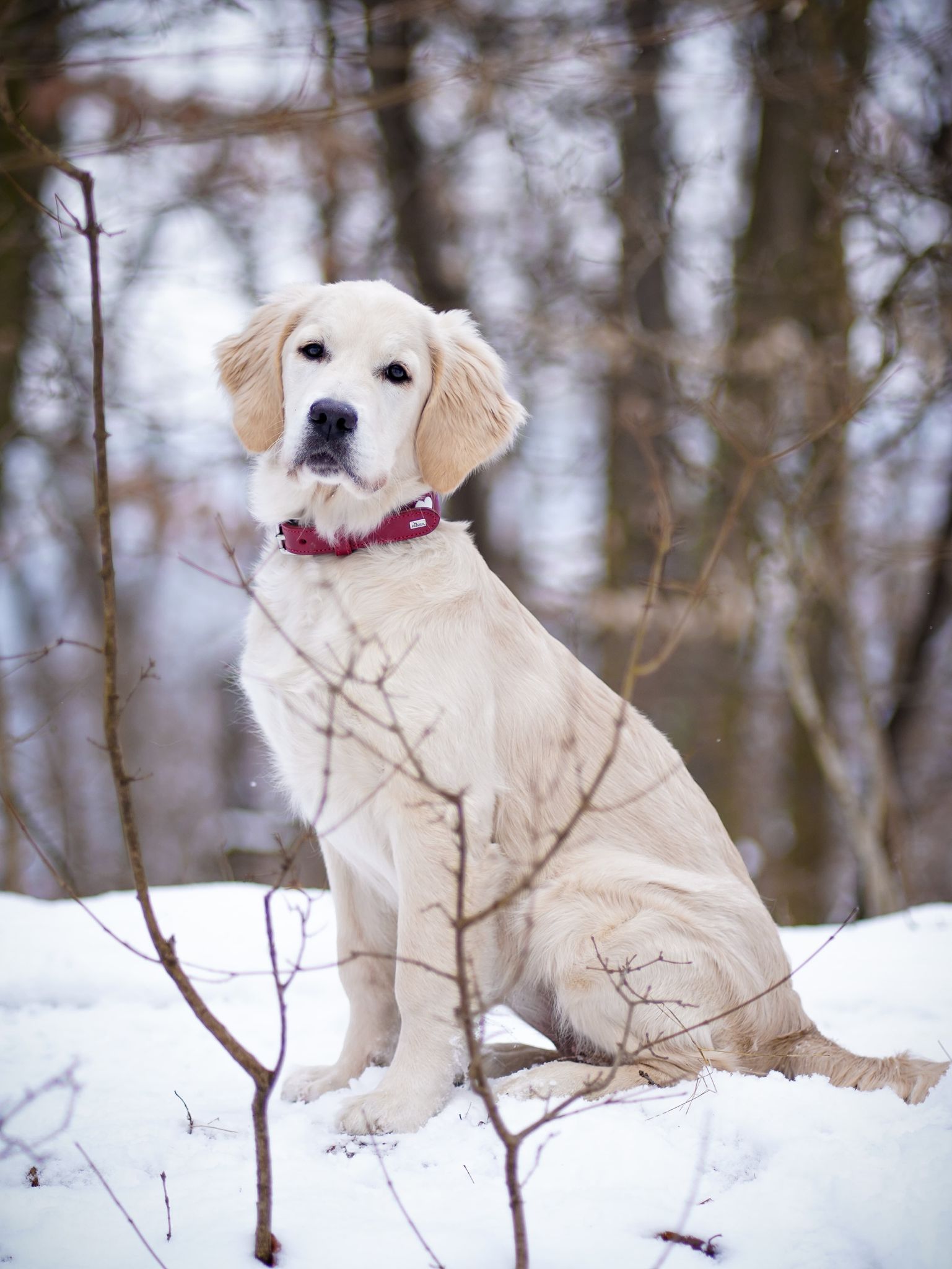 d974a13b-1675-4576-b864-97cc0ce0e91c