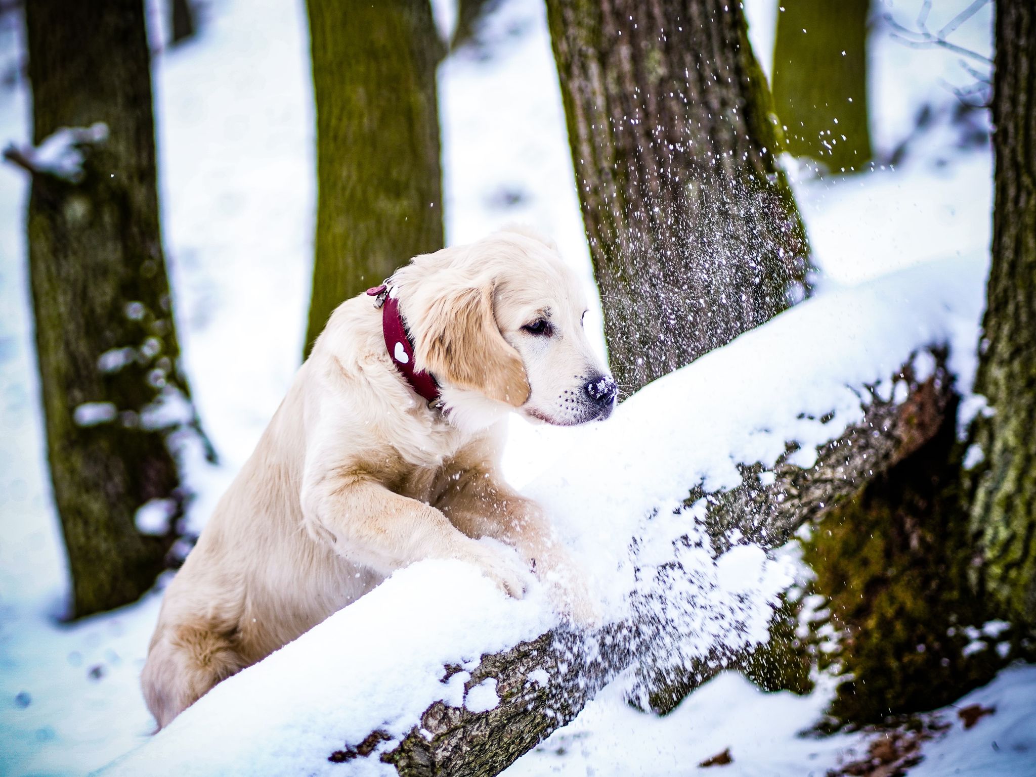 d87699dd-8feb-45fb-b14f-e8cd85dfa94c