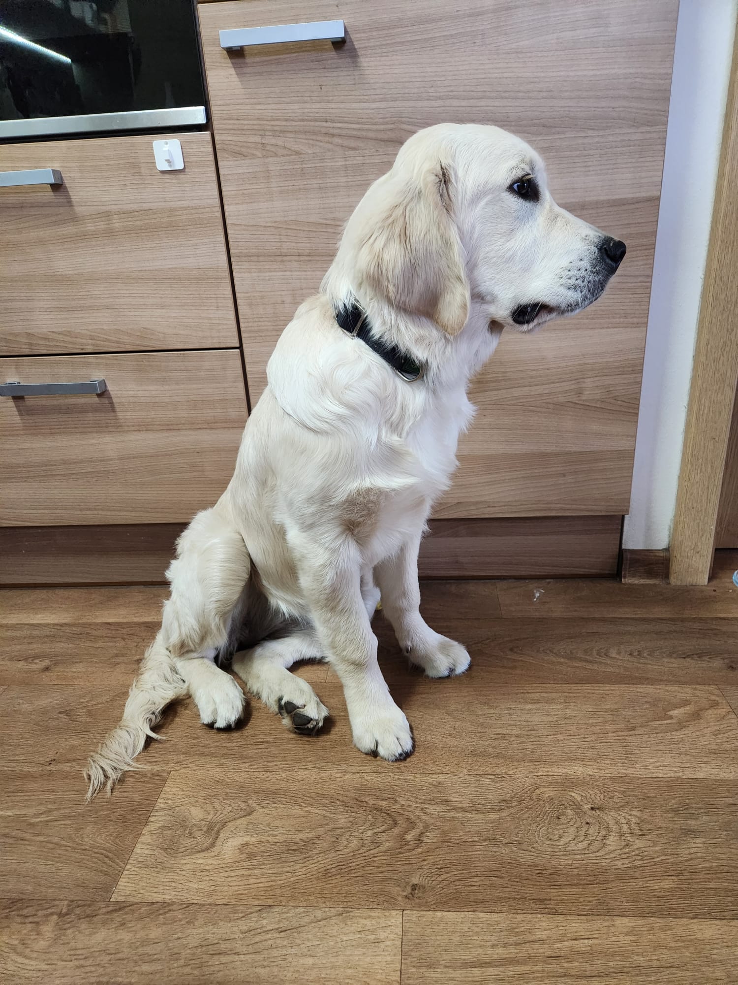 f77049d1-7f9f-4fff-8ed8-ec39d4c90621