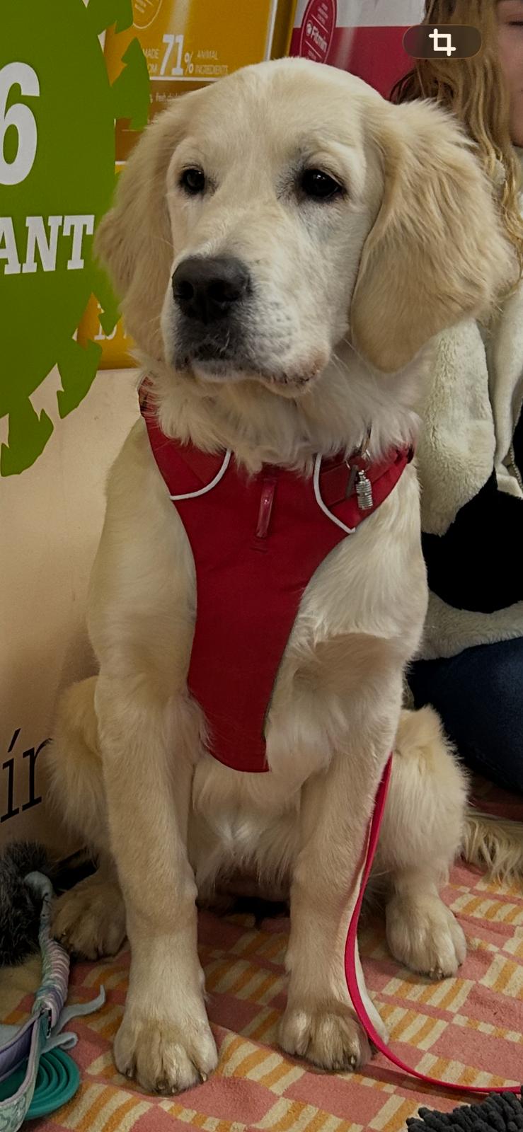 2d562d89-8dfb-4249-b264-238be0335868