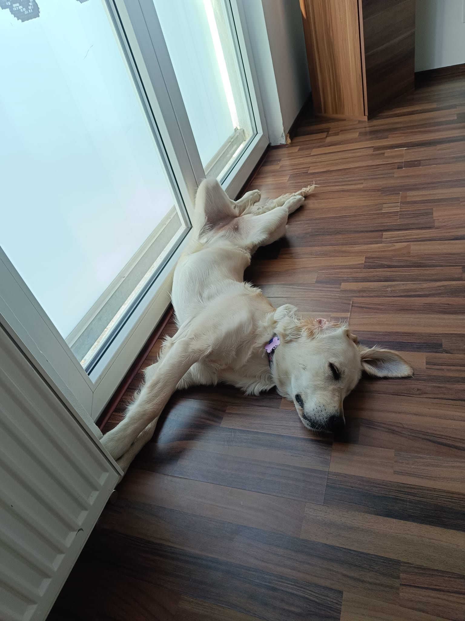 9ff6dd3b-61da-4520-8dac-86c03805a8d0