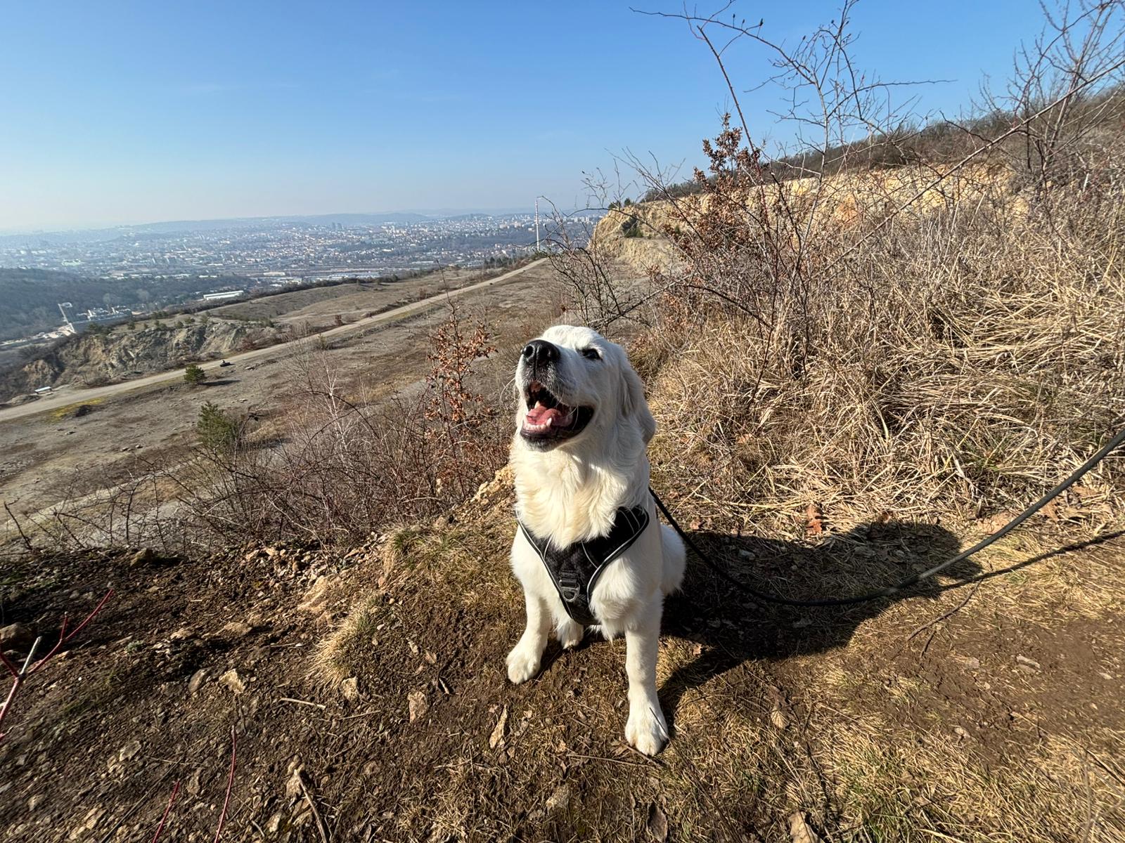 0bbef07c-e2de-48df-ada8-b54876b86d5a