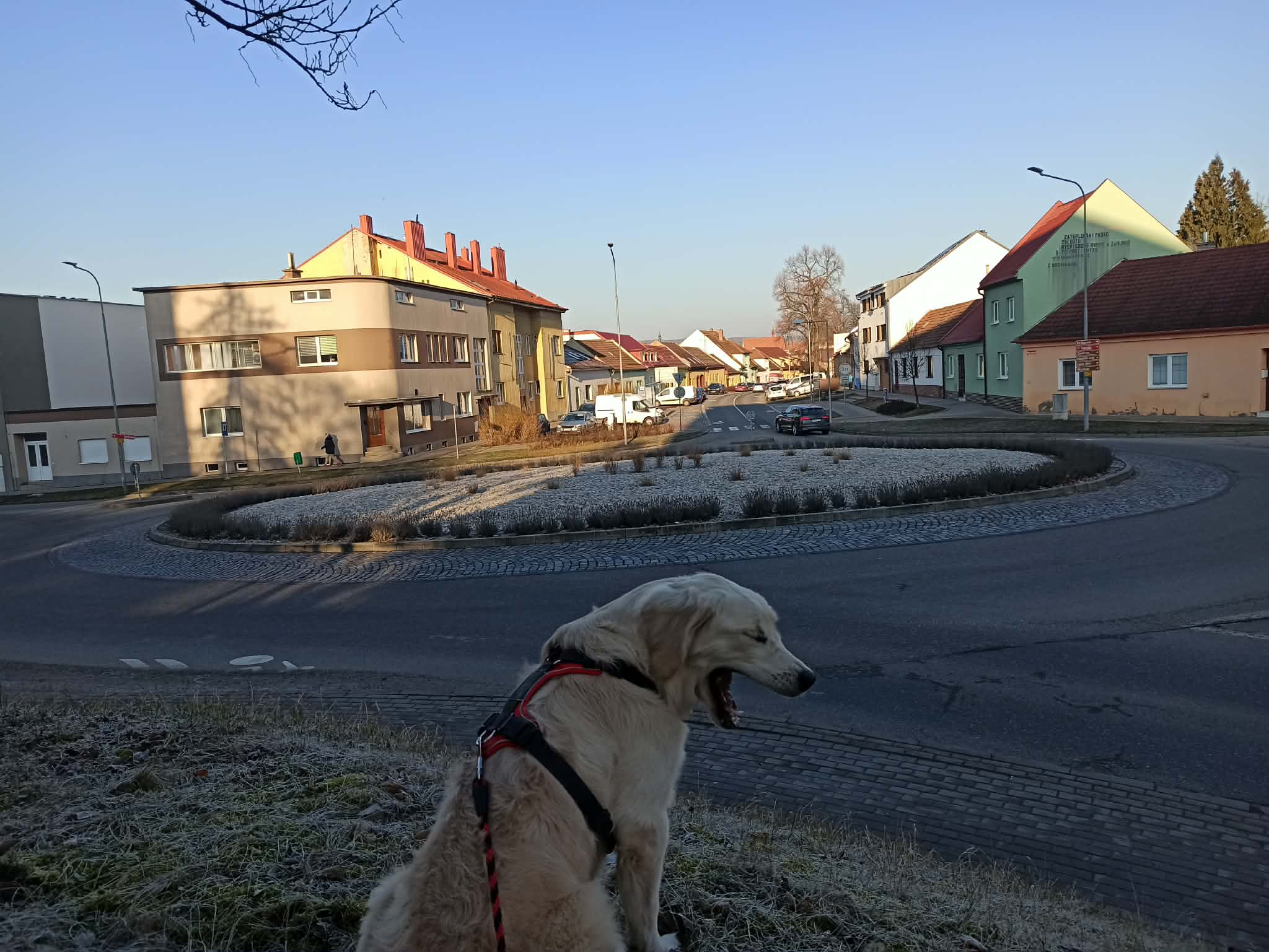 221753a8-daf0-4516-a841-a070cdaf3044