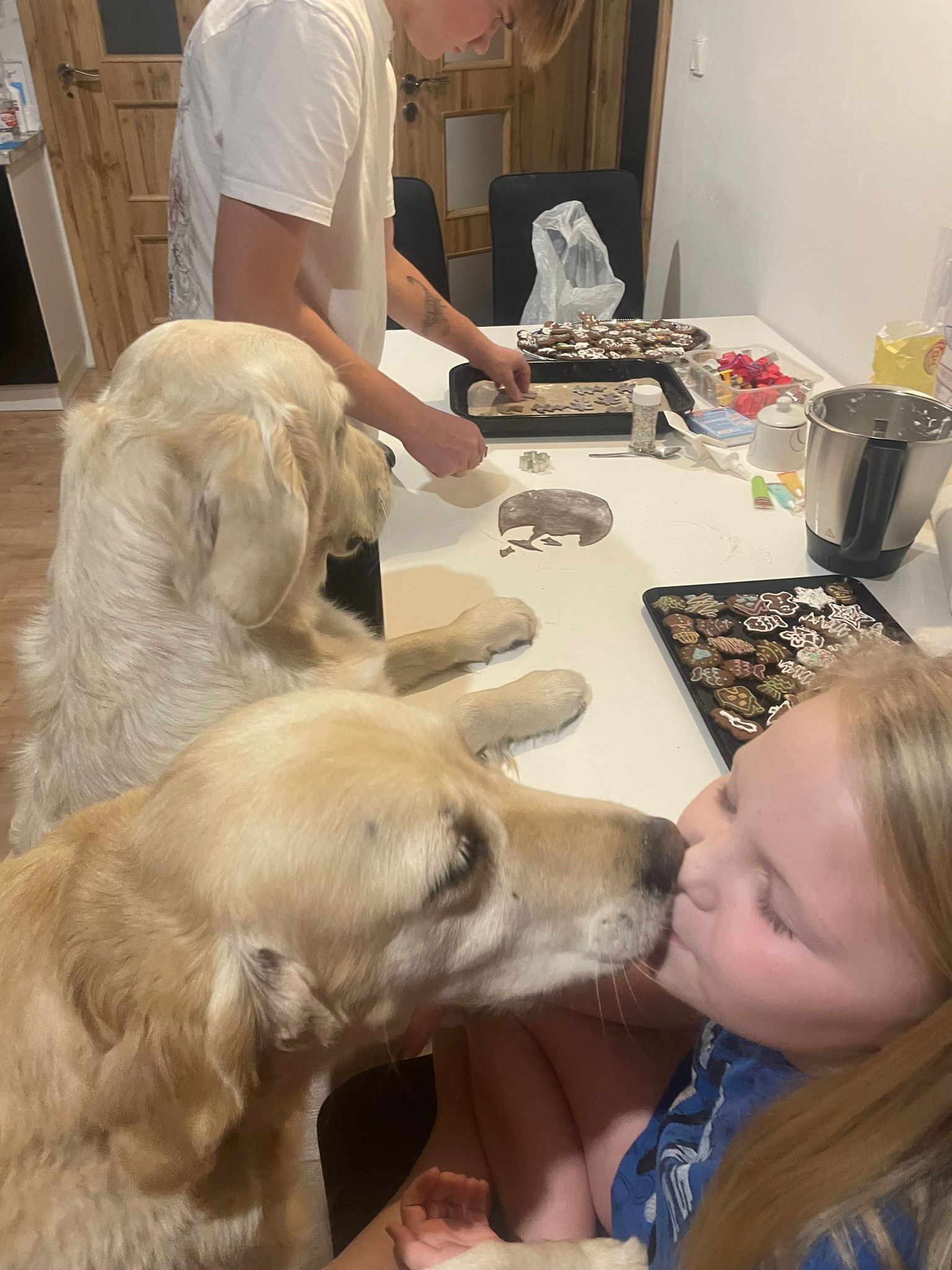 da220db2-4b94-4130-9e0d-e7ece935199b